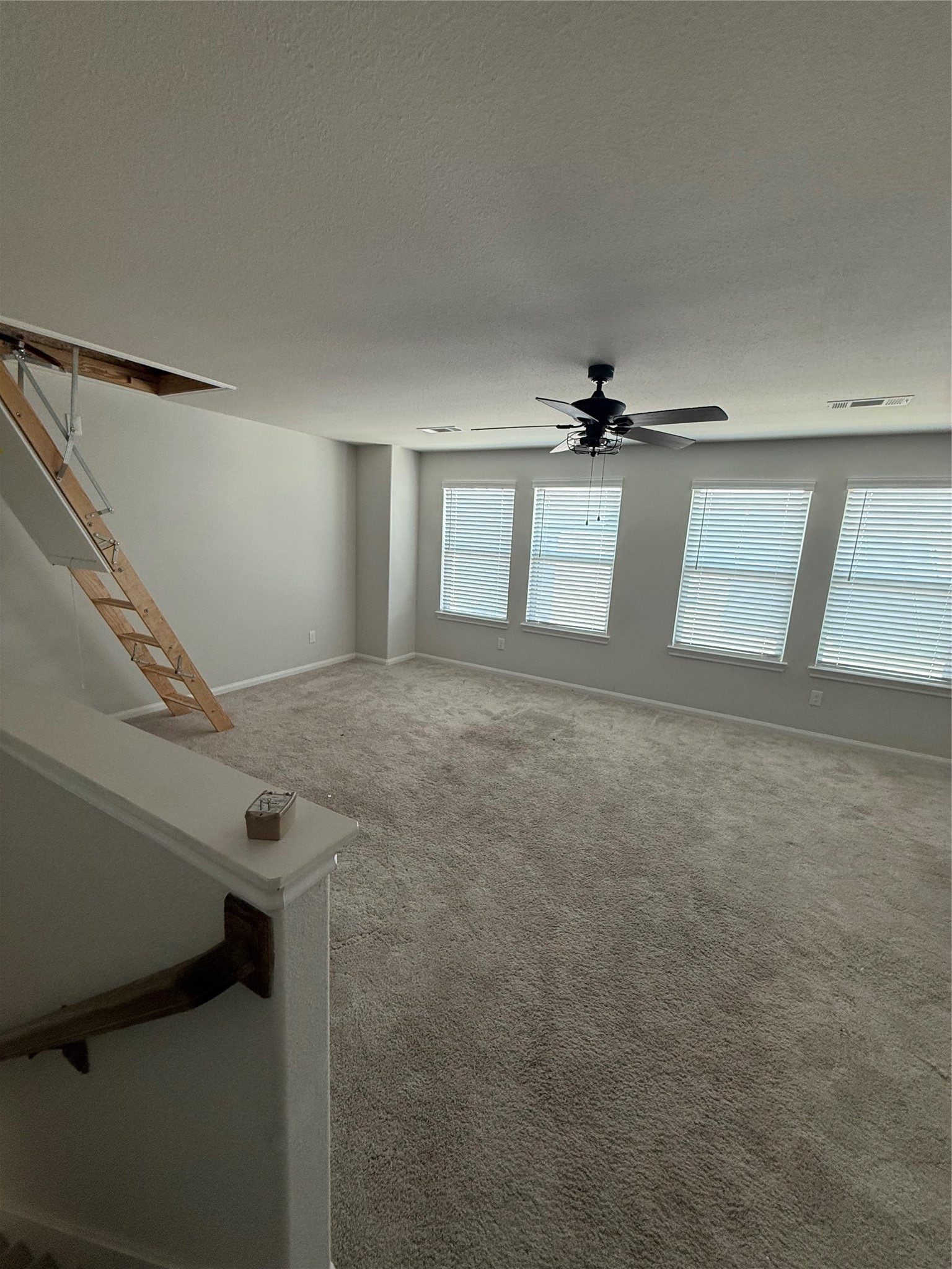 414 Alex Arbor Way Property Photo 27