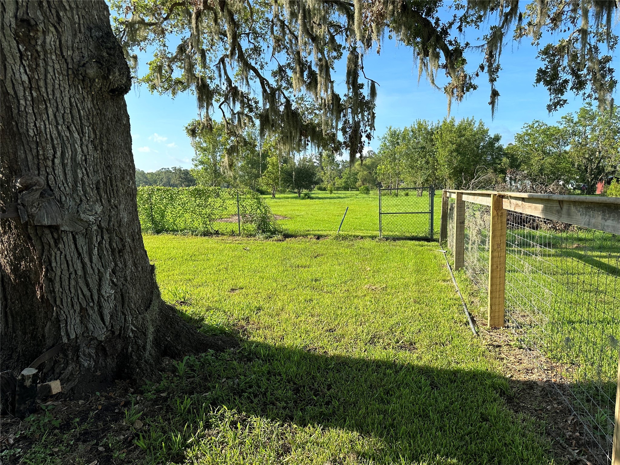 5249 County Road 353 Property Photo 8