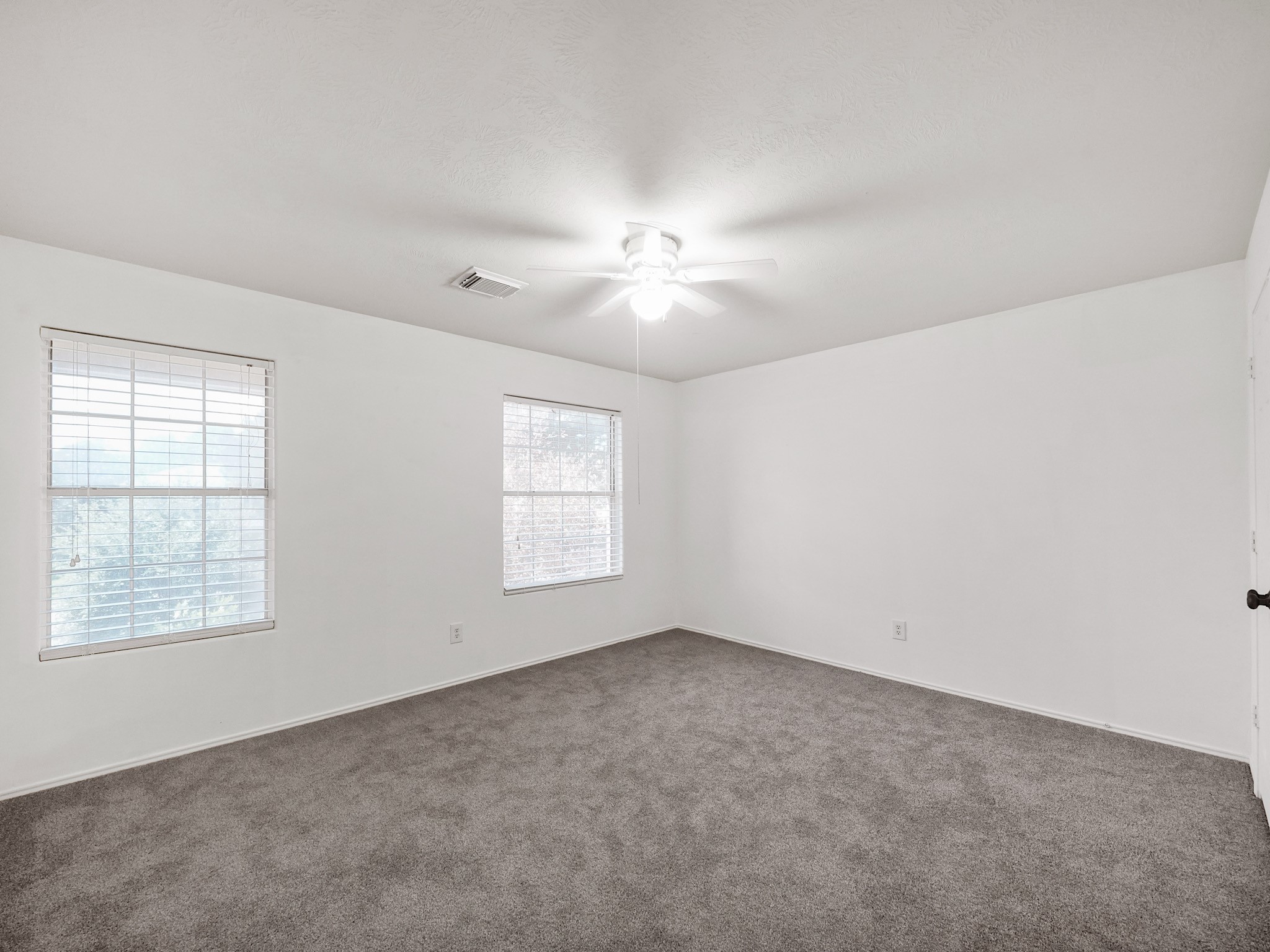 1011 Backland Court Property Photo 12