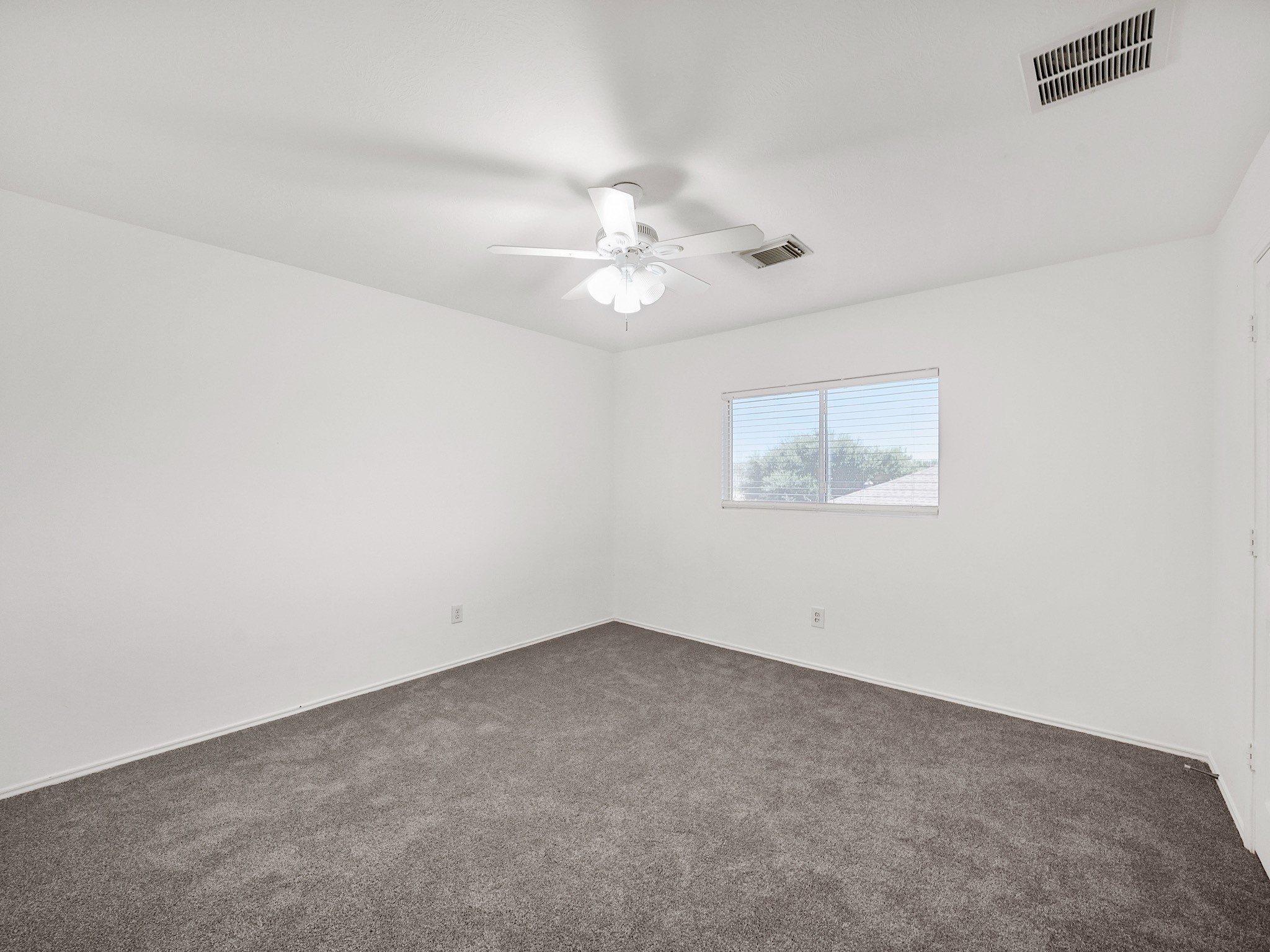 1011 Backland Court Property Photo 13