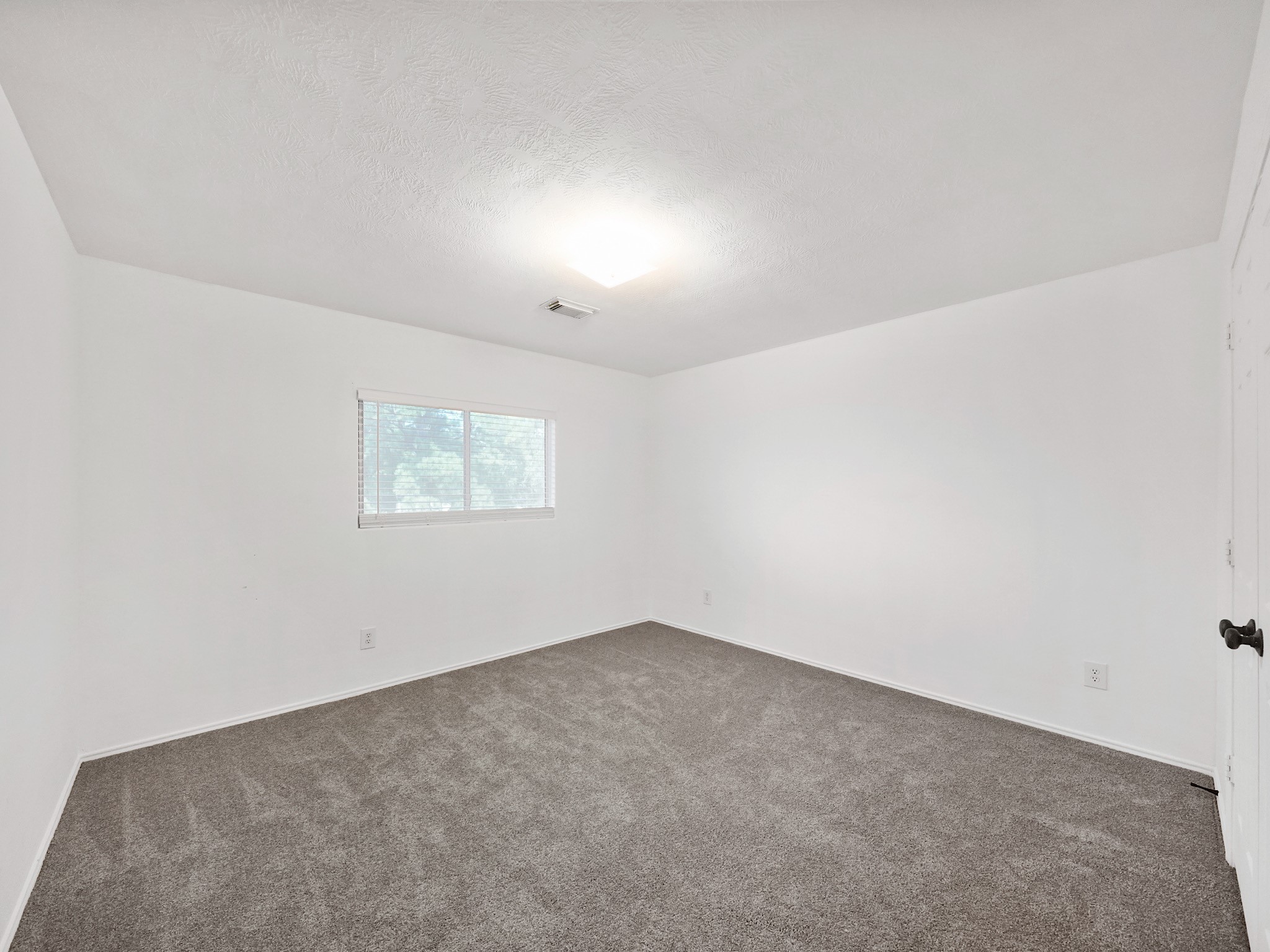 1011 Backland Court Property Photo 16