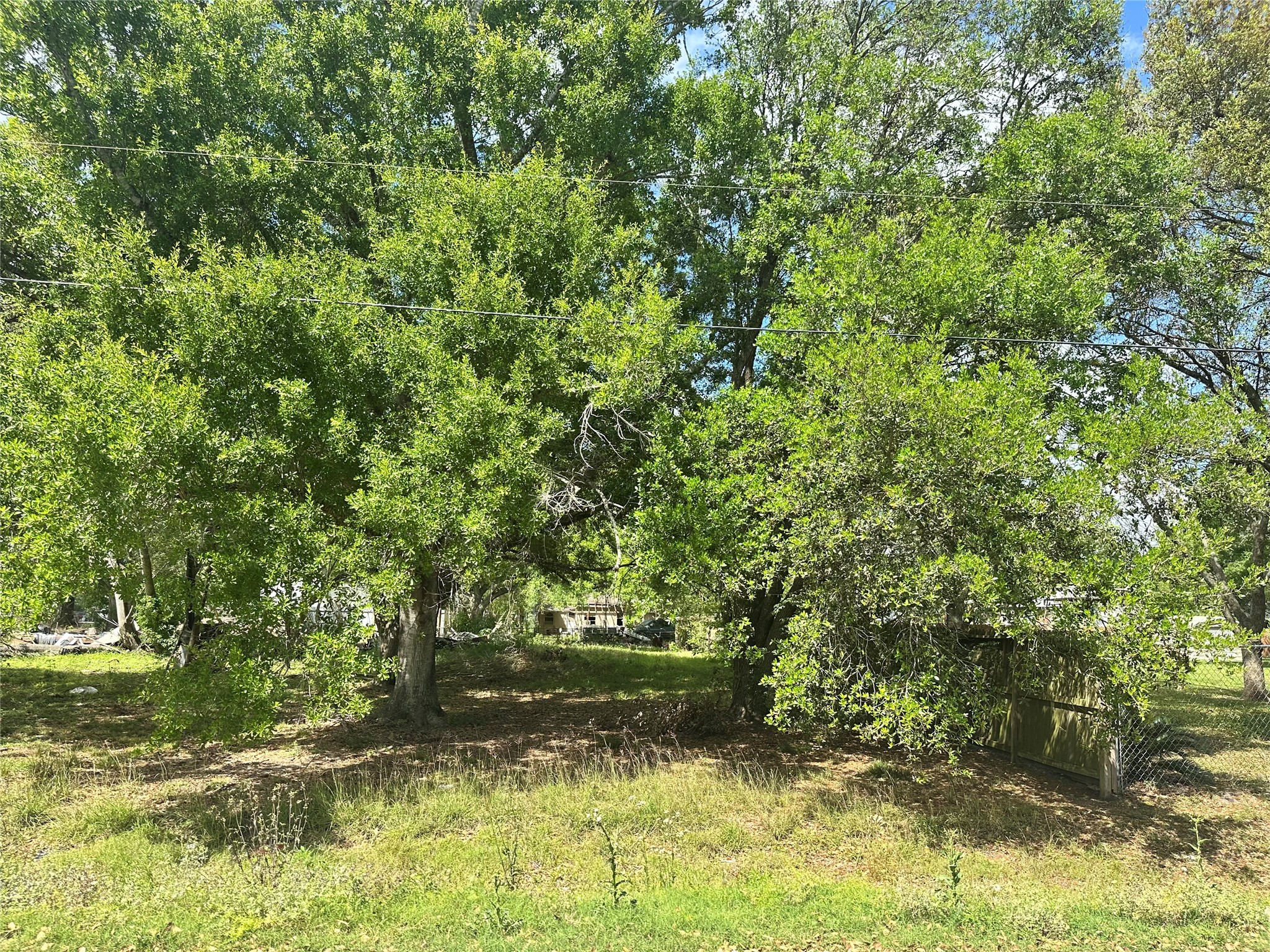 730 Elm Street Property Photo 2