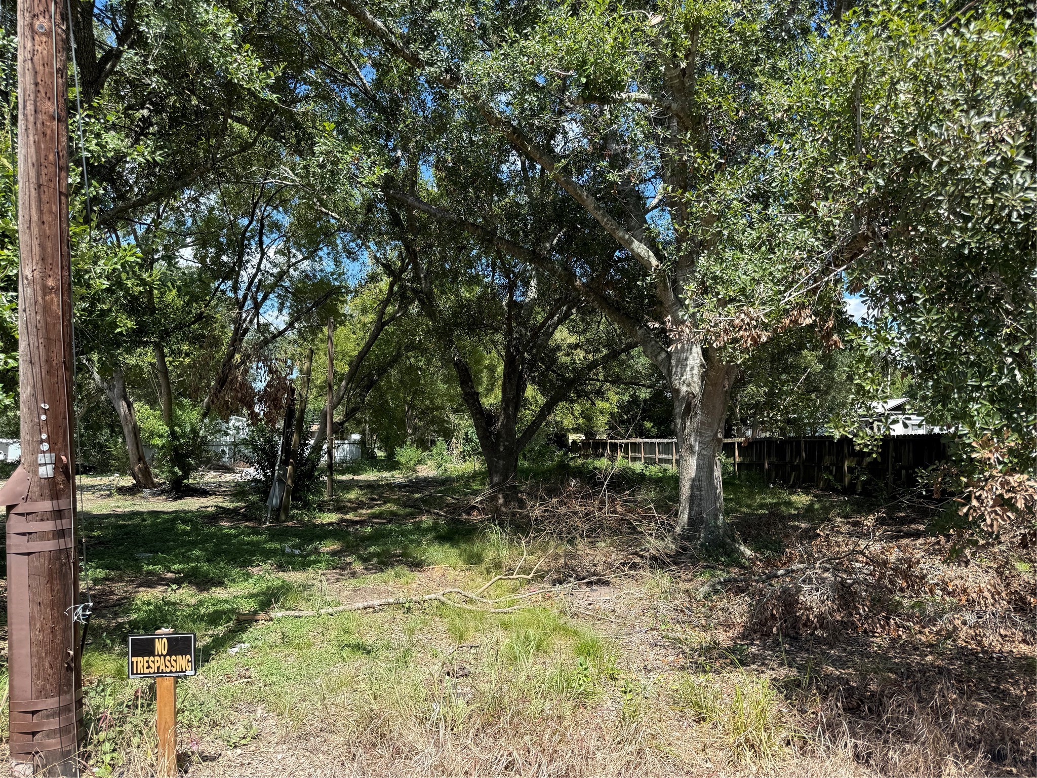 730 Elm Street Property Photo 3