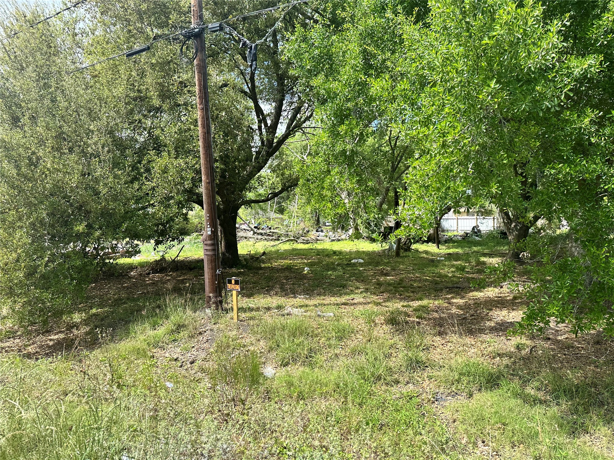 730 Elm Street Property Photo 4