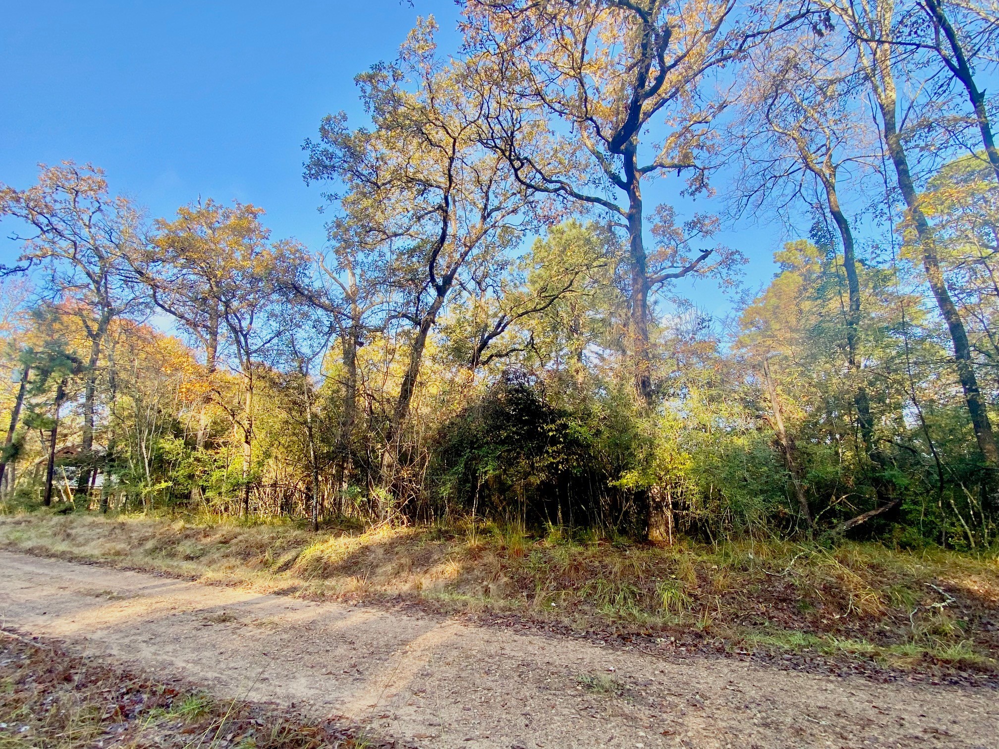 Tbd Lakeview Circle Property Photo 3