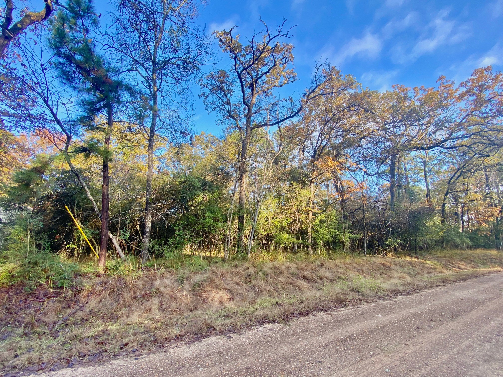 Tbd Lakeview Circle Property Photo 5