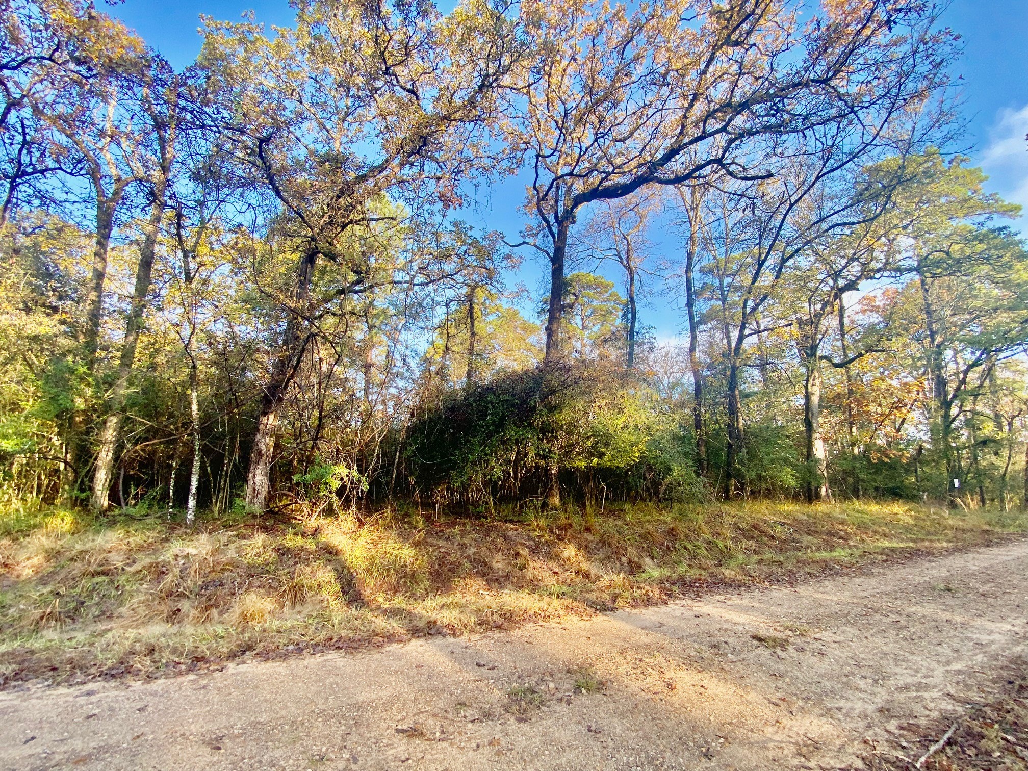 Tbd Lakeview Circle Property Photo 8
