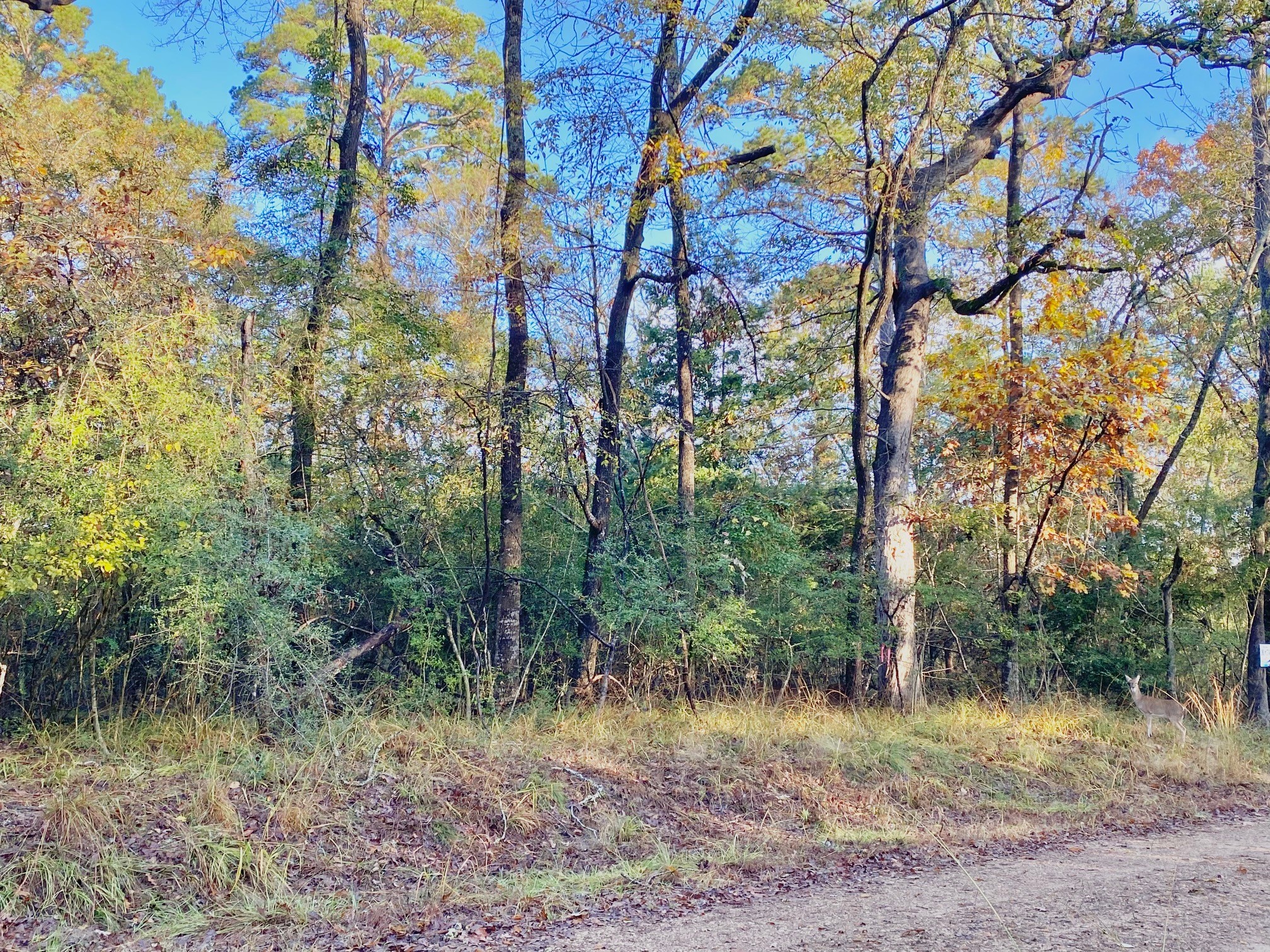 Tbd Lakeview Circle Property Photo 9