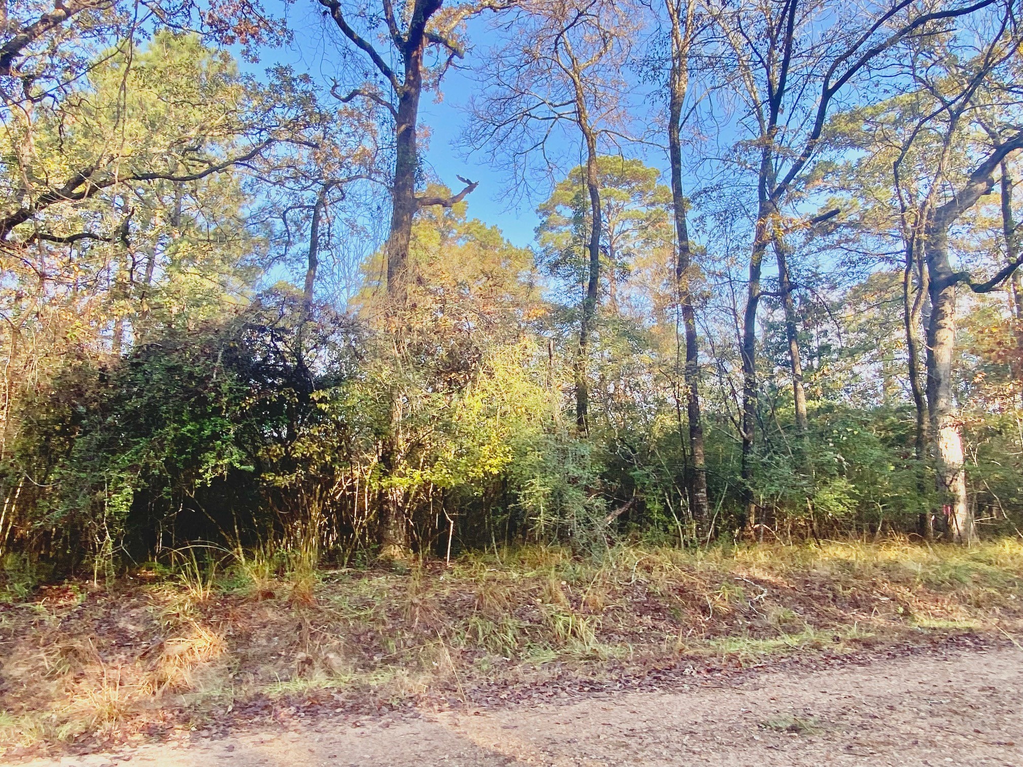 Tbd Lakeview Circle Property Photo 10