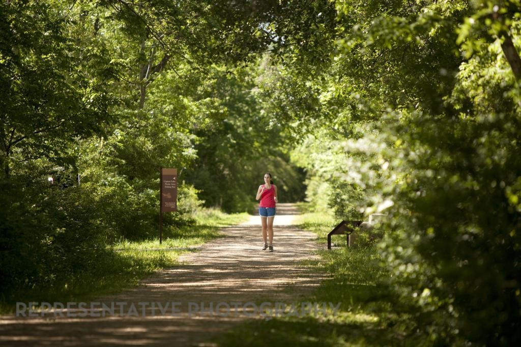 11230 Leaf Shelter Lane Property Photo 10