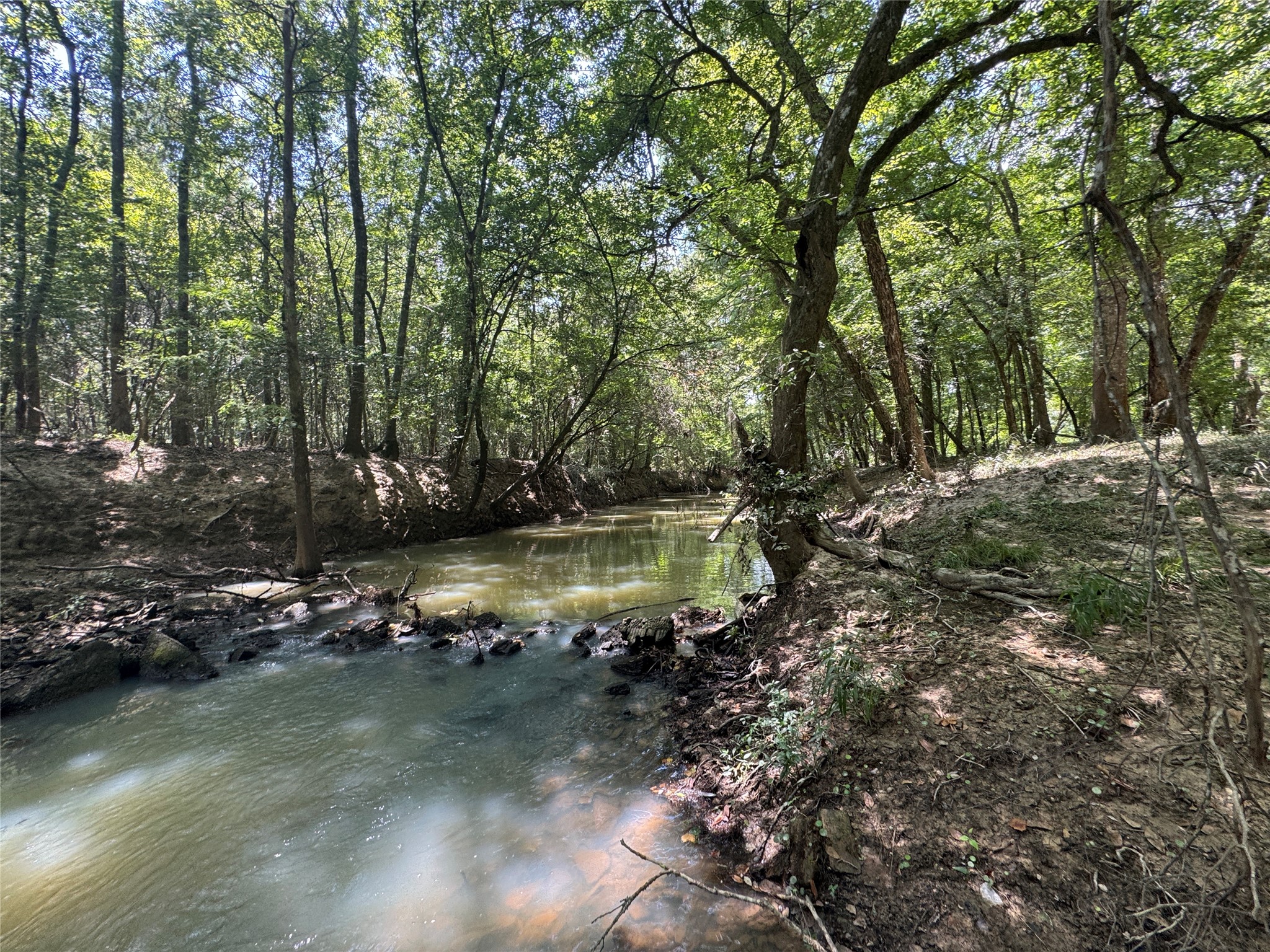 Tbd Cr 3141 W Road Property Photo 1
