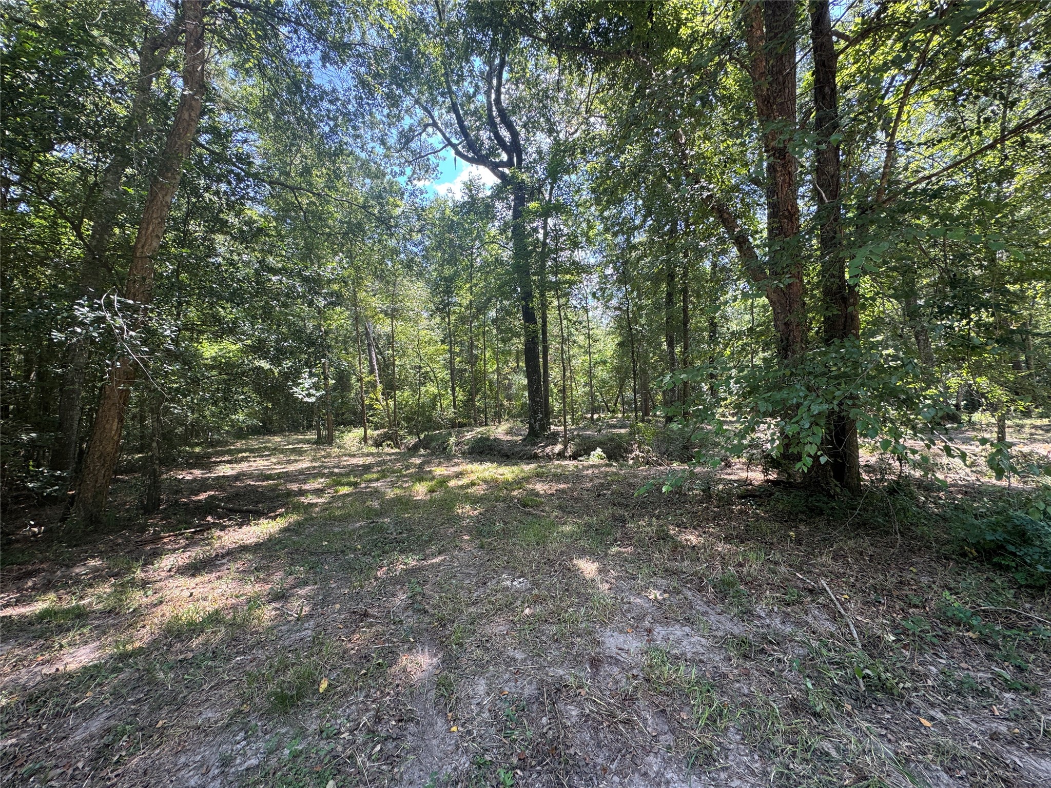 Tbd Cr 3141 W Road Property Photo 3