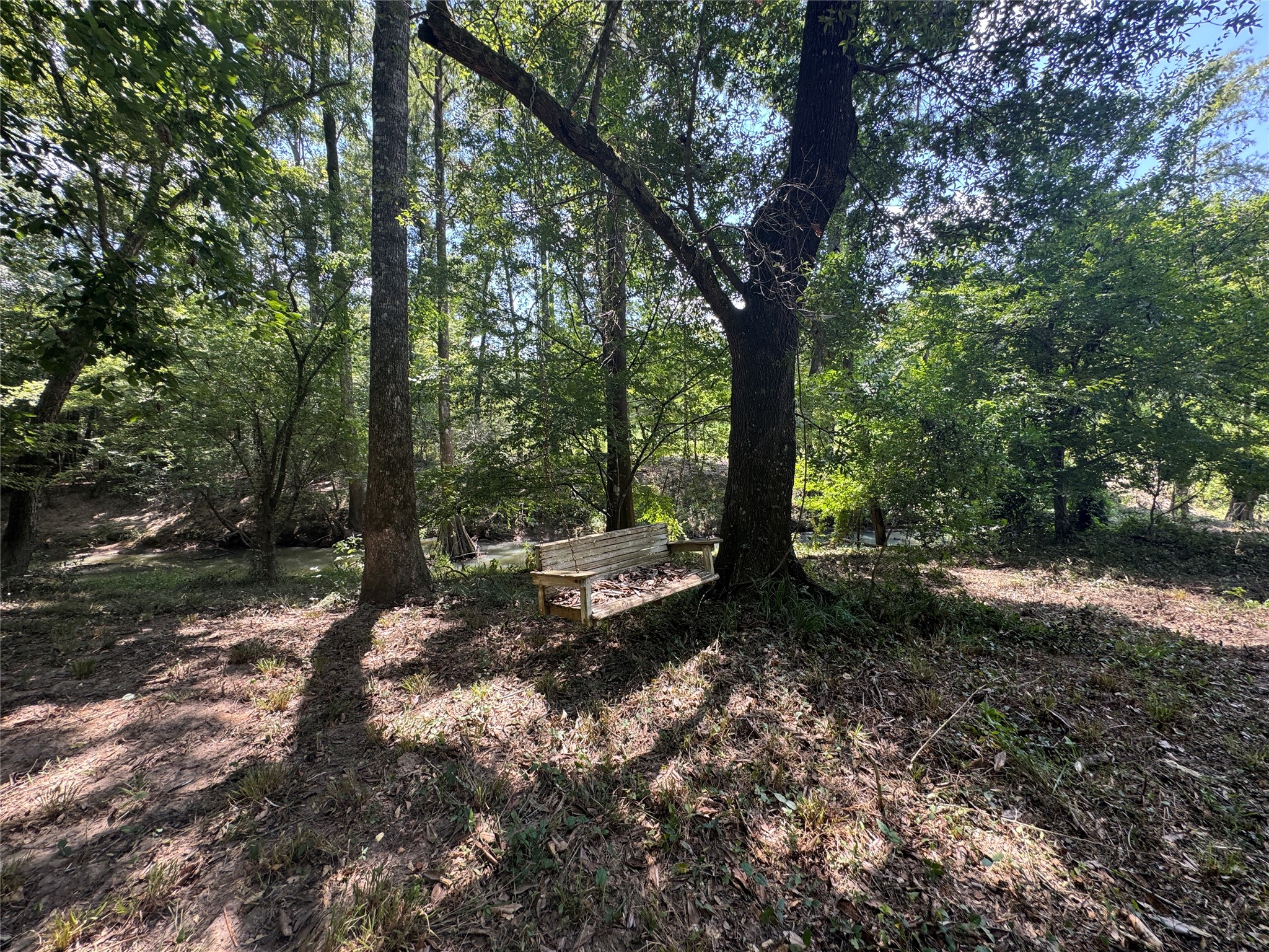 Tbd Cr 3141 W Road Property Photo 4
