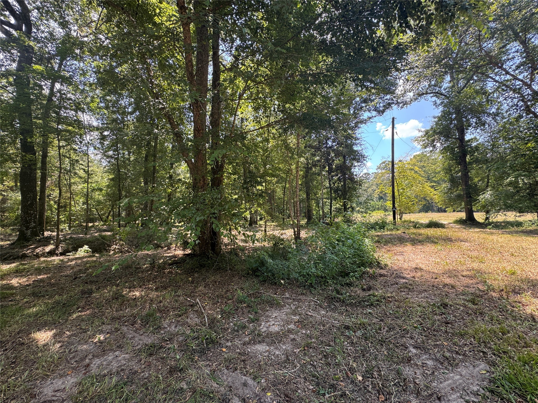 Tbd Cr 3141 W Road Property Photo 5