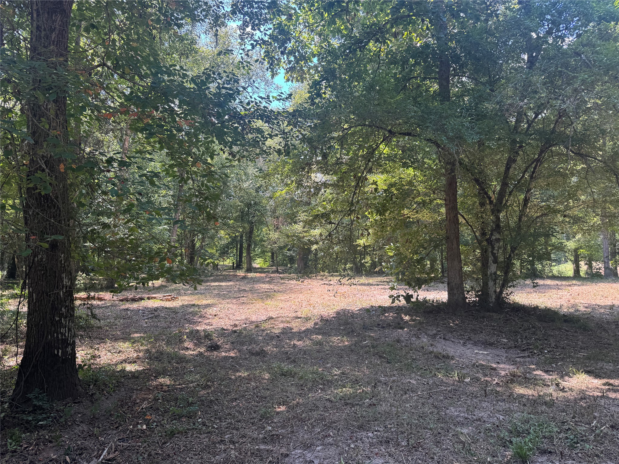 Tbd Cr 3141 W Road Property Photo 7