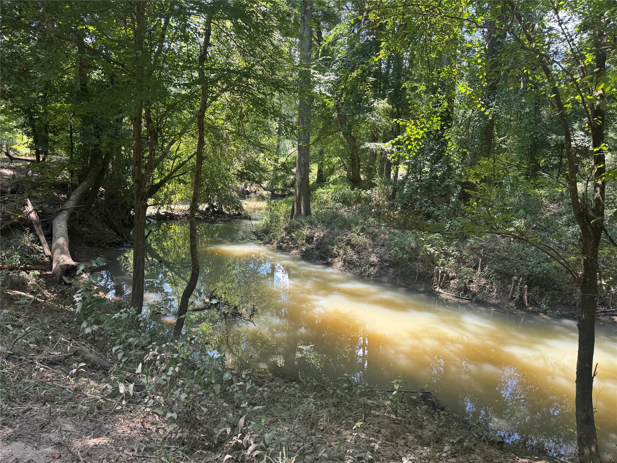 Tbd Cr 3141 W Road Property Photo 8