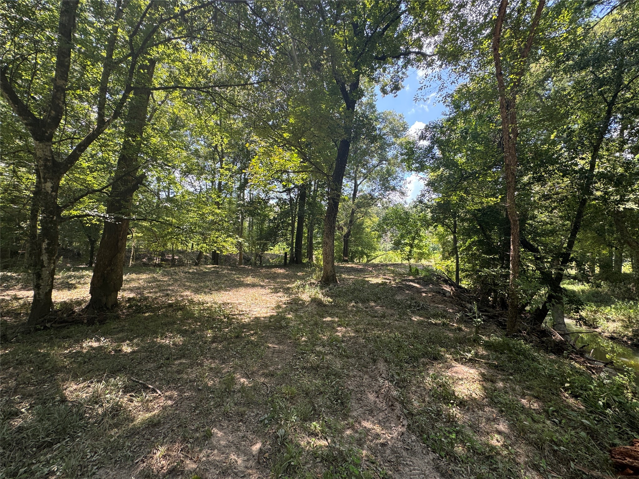 Tbd Cr 3141 W Road Property Photo 10