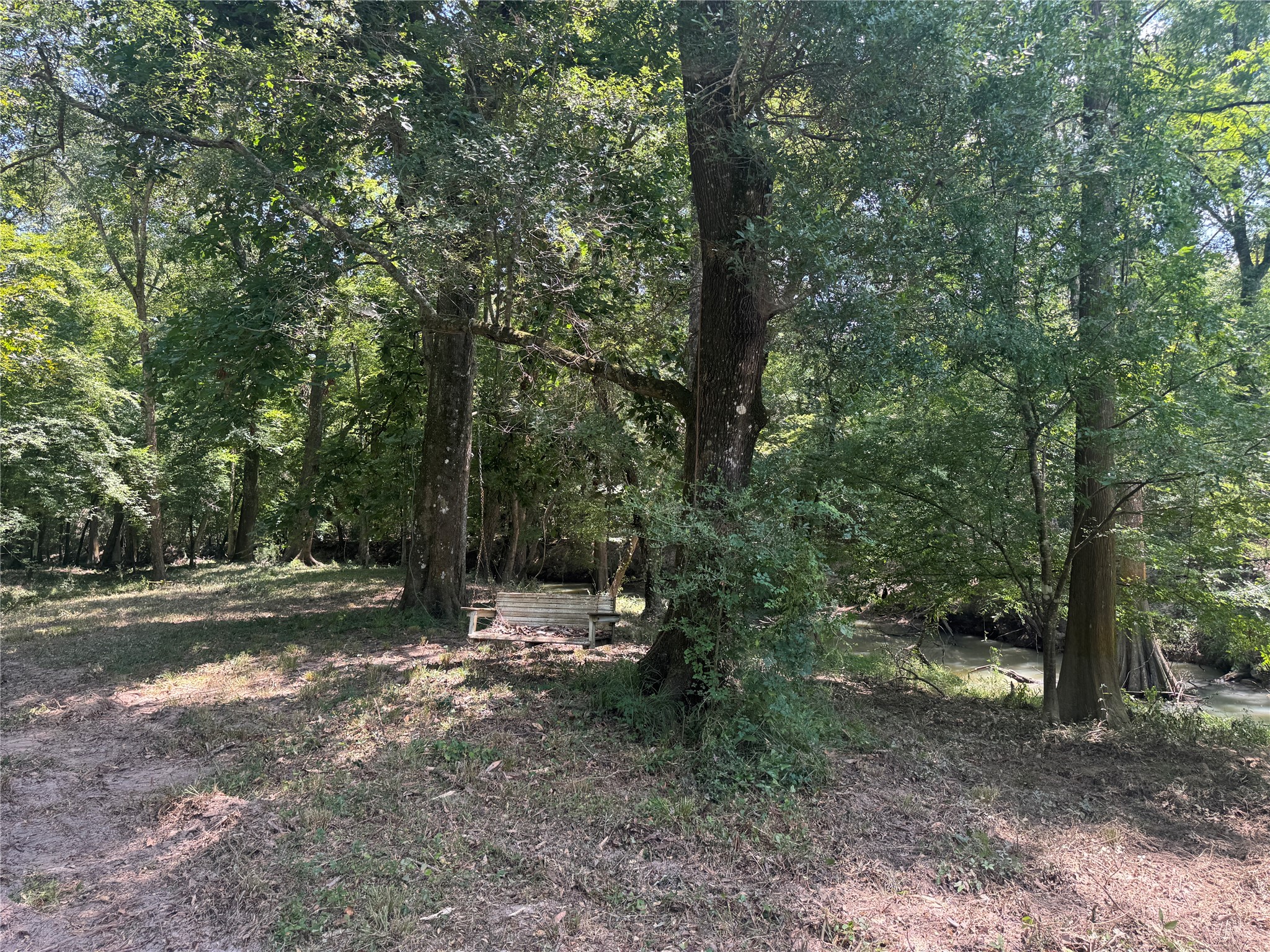 Tbd Cr 3141 W Road Property Photo 11