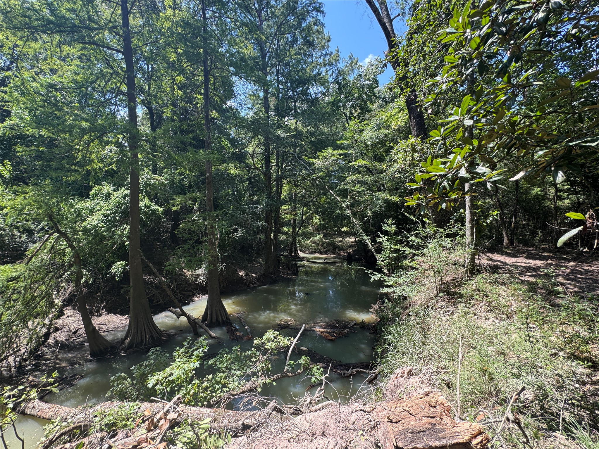 Tbd Cr 3141 W Road Property Photo 14