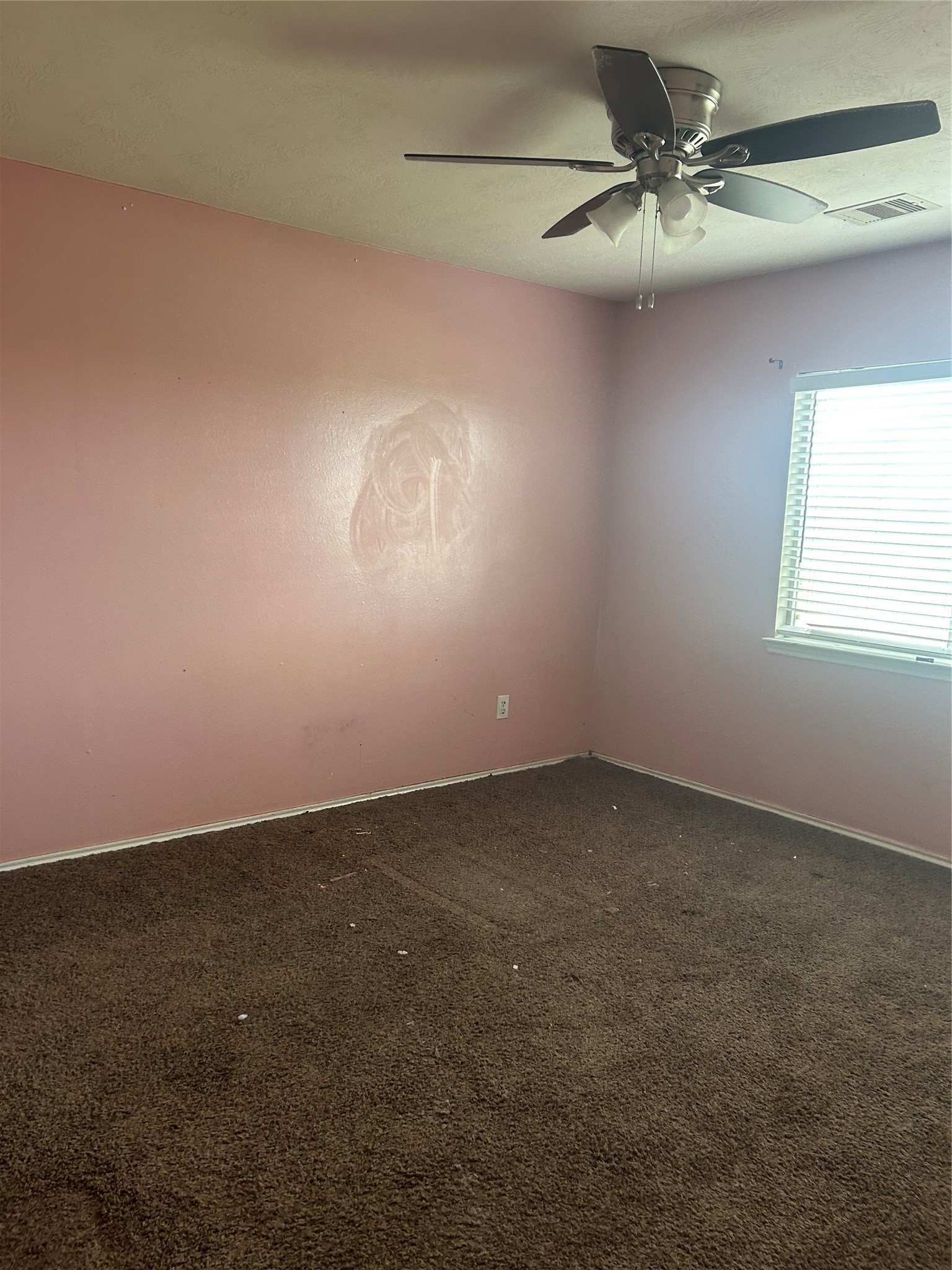 4419 Amaryllis Avenue Property Photo 9