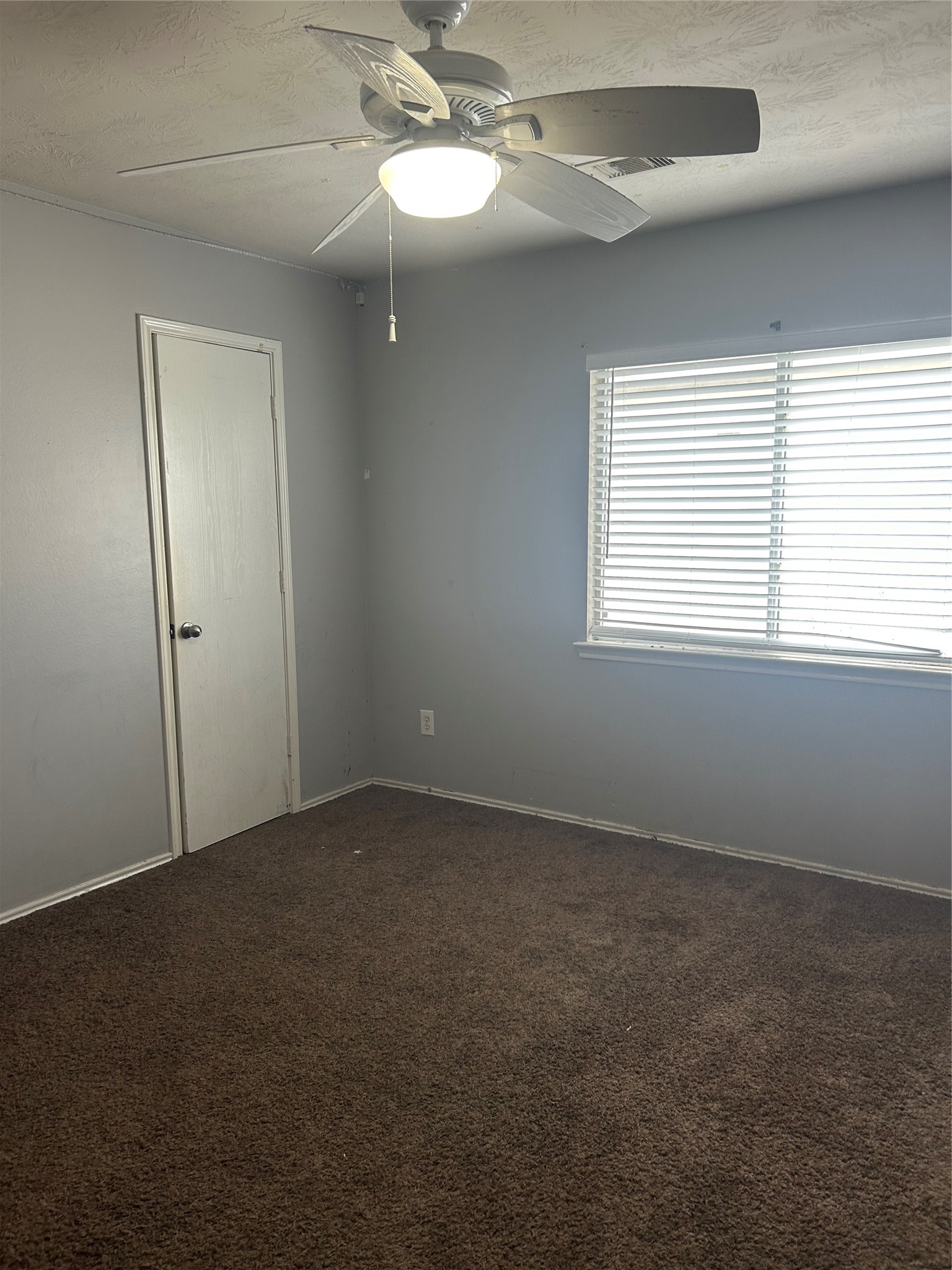 4419 Amaryllis Avenue Property Photo 10