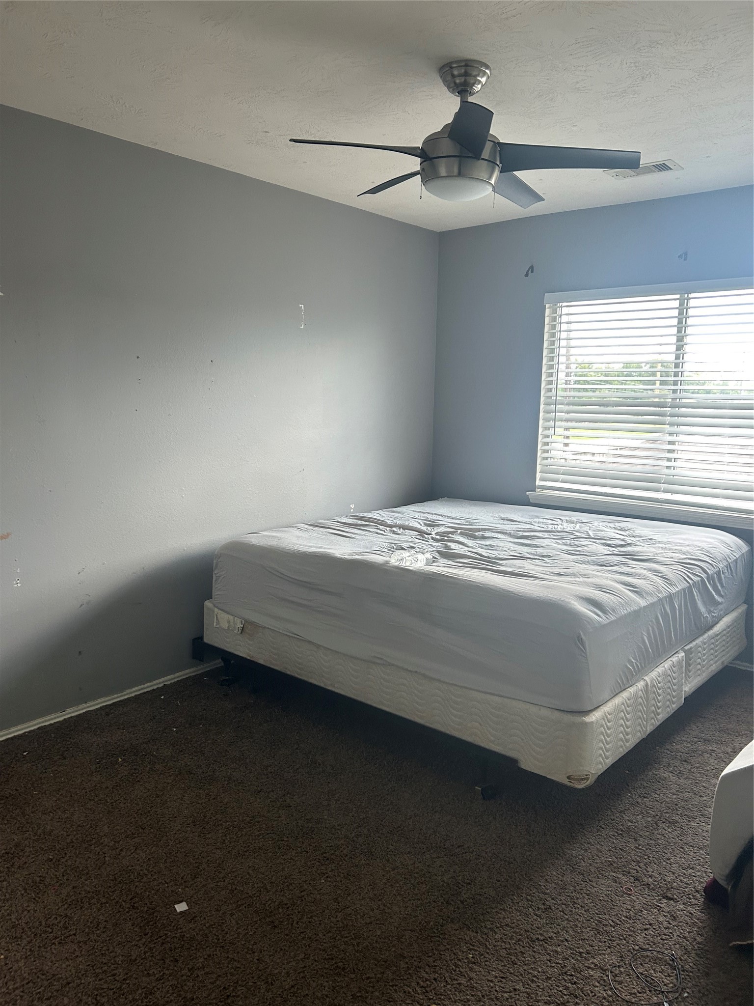 4419 Amaryllis Avenue Property Photo 11