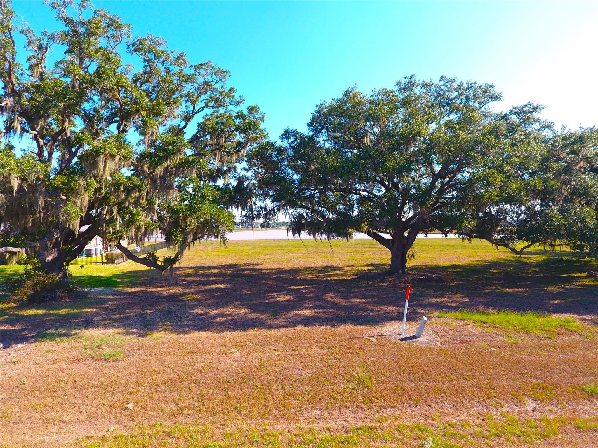 603 Lily Lane, Rosharon Tx 77583 Property Photo 7