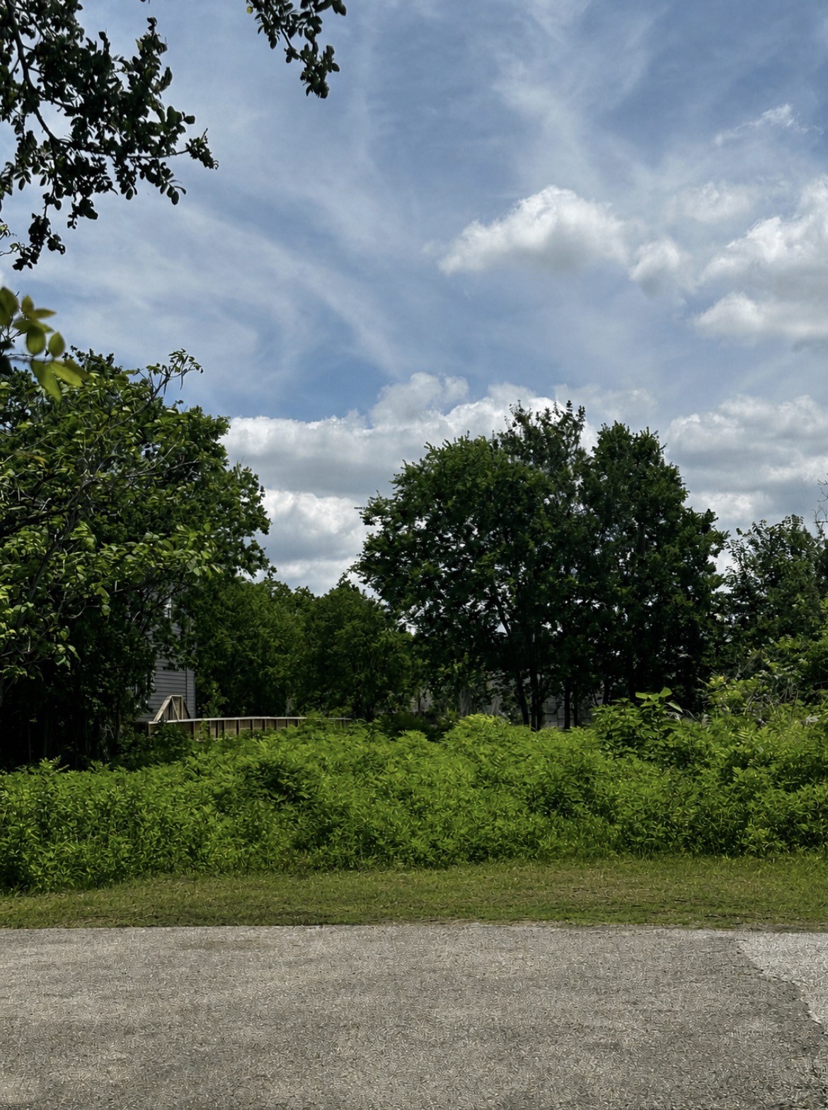 1902 Brewster Street Property Photo 1