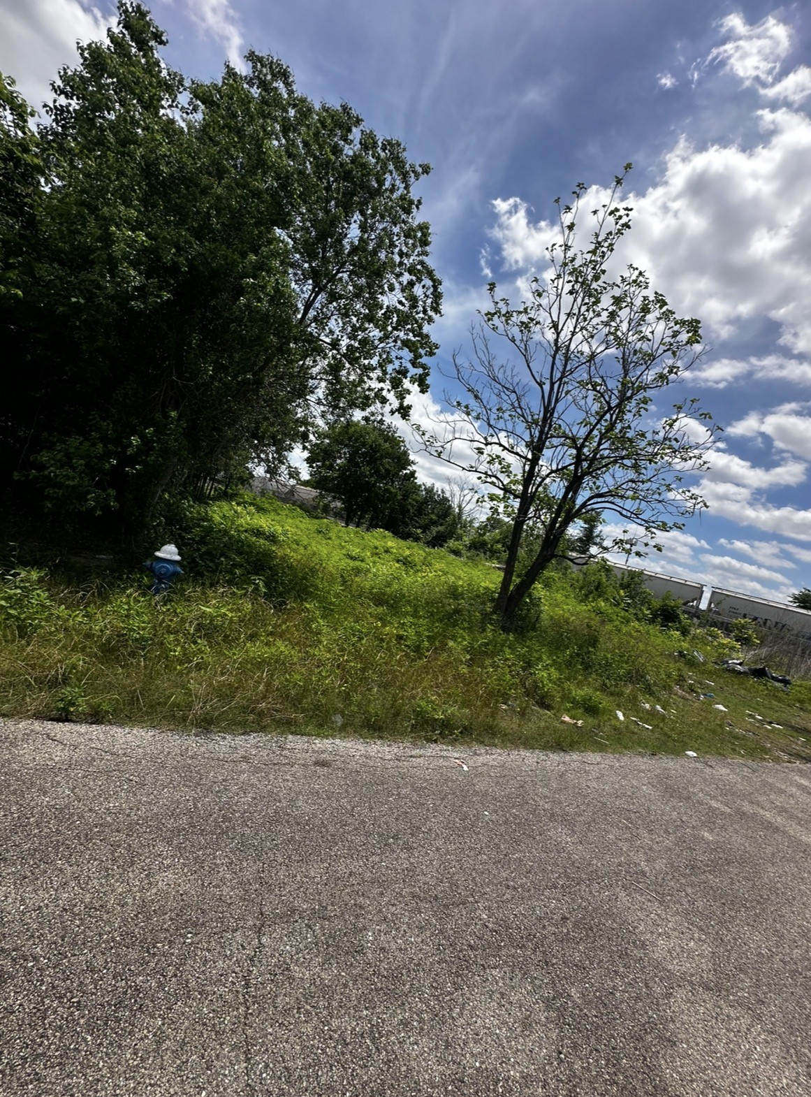 1902 Brewster Street Property Photo 3