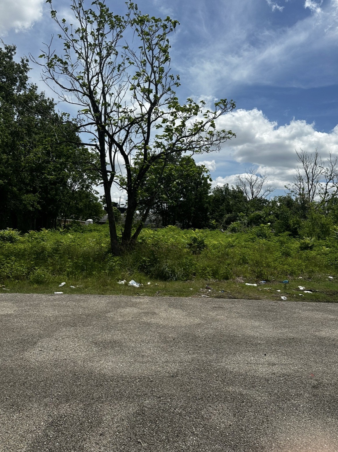 1902 Brewster Street Property Photo 4