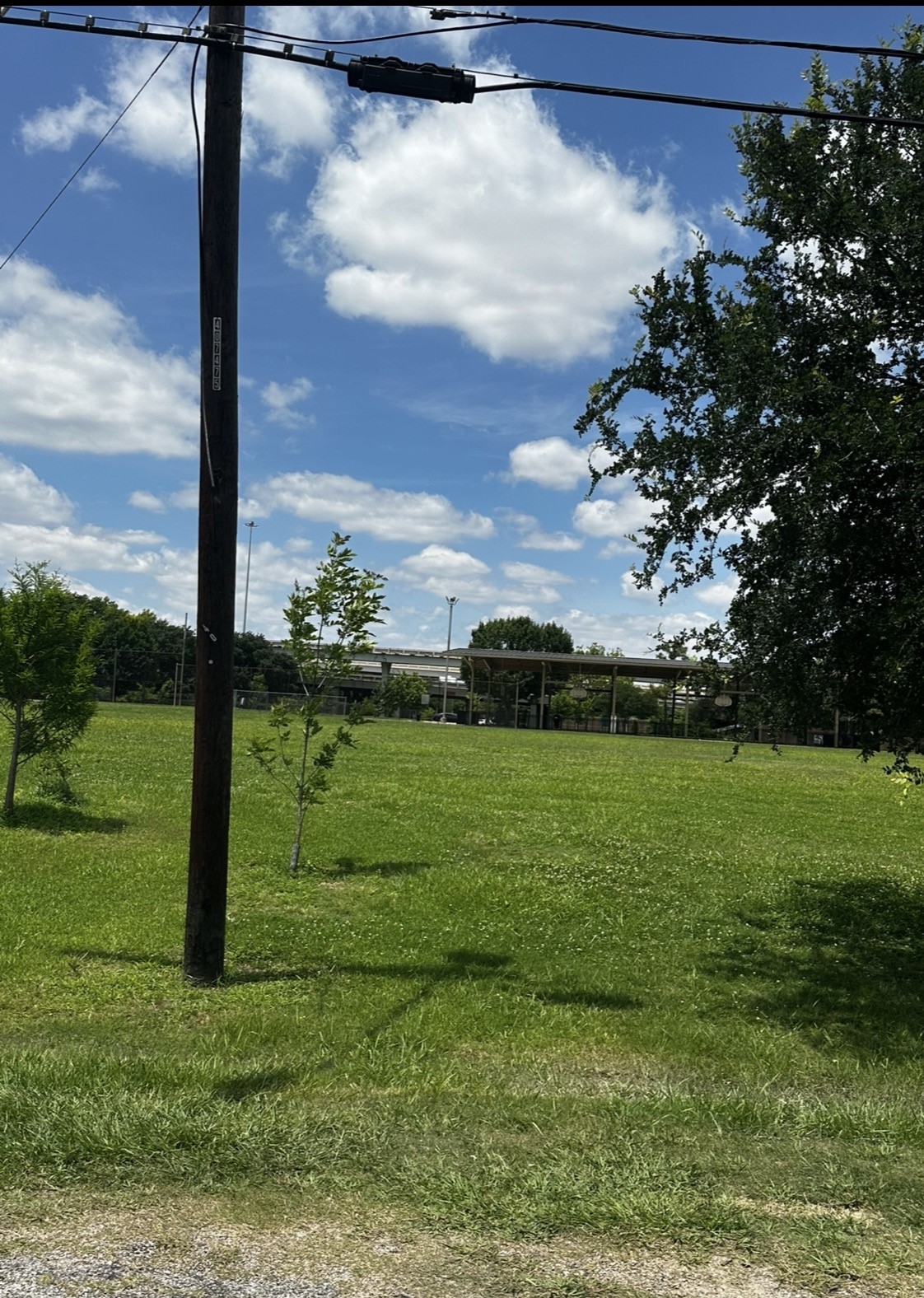 1902 Brewster Street Property Photo 6