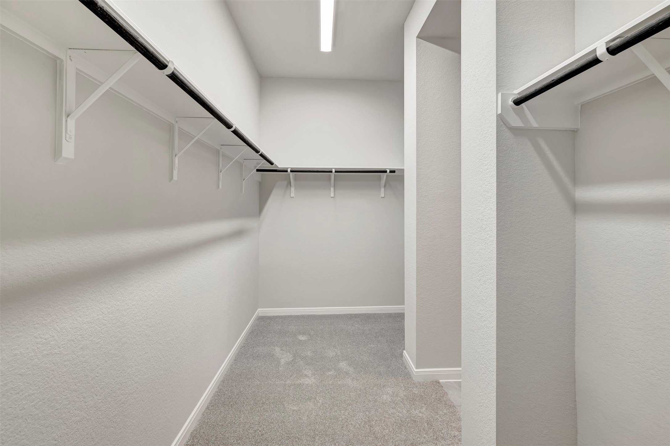 16238 Summer Aster Trail Property Photo 47