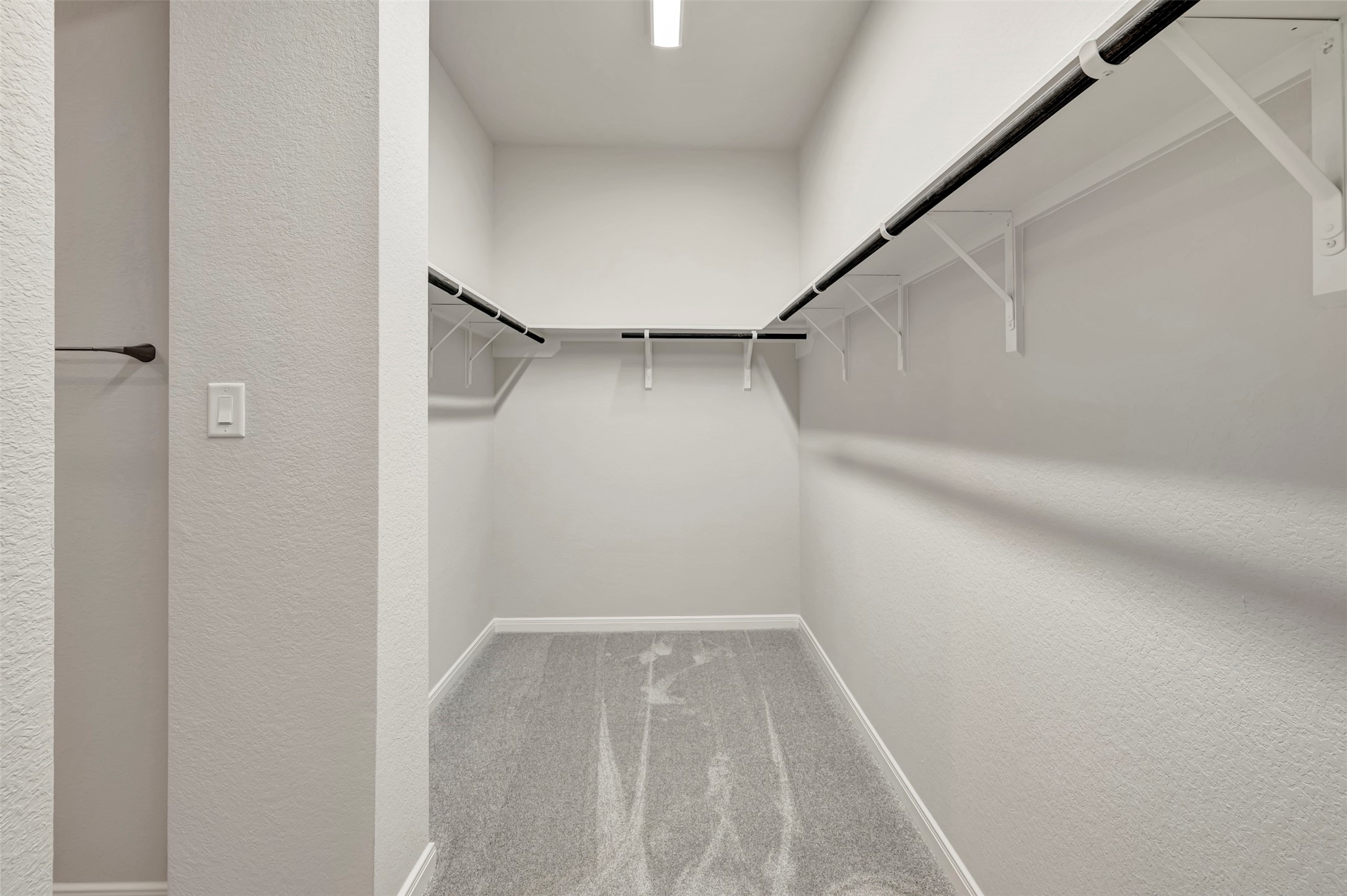 16238 Summer Aster Trail Property Photo 48