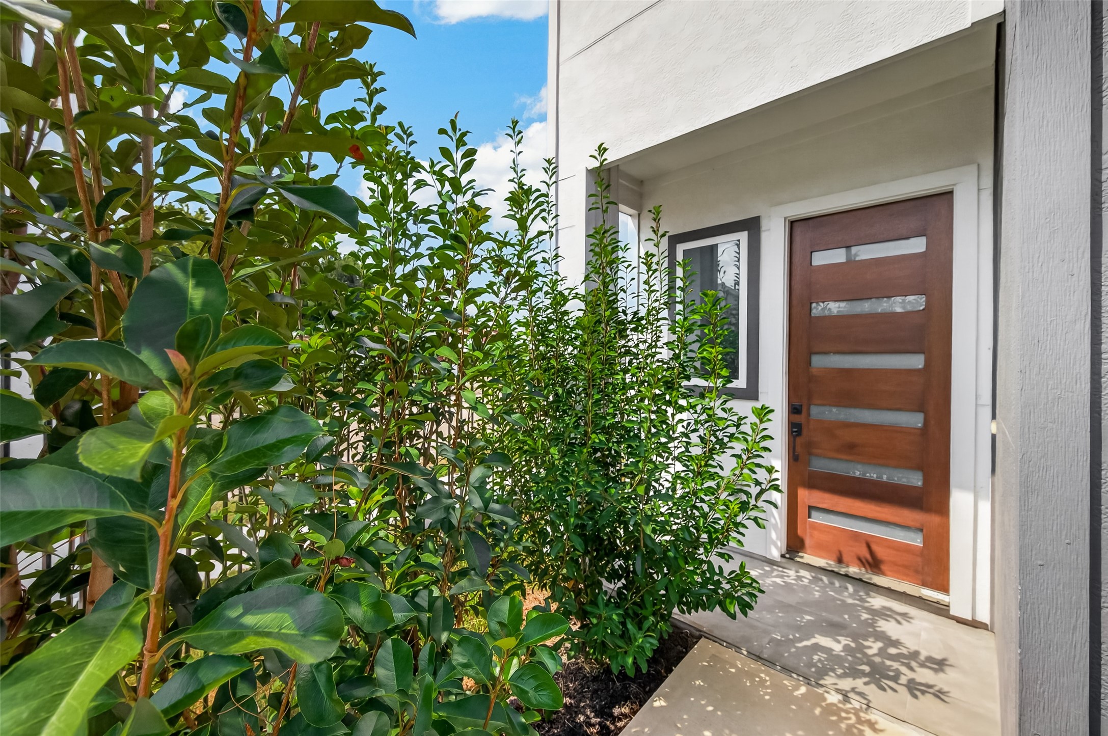 6844 Del Rio Street Property Photo 5