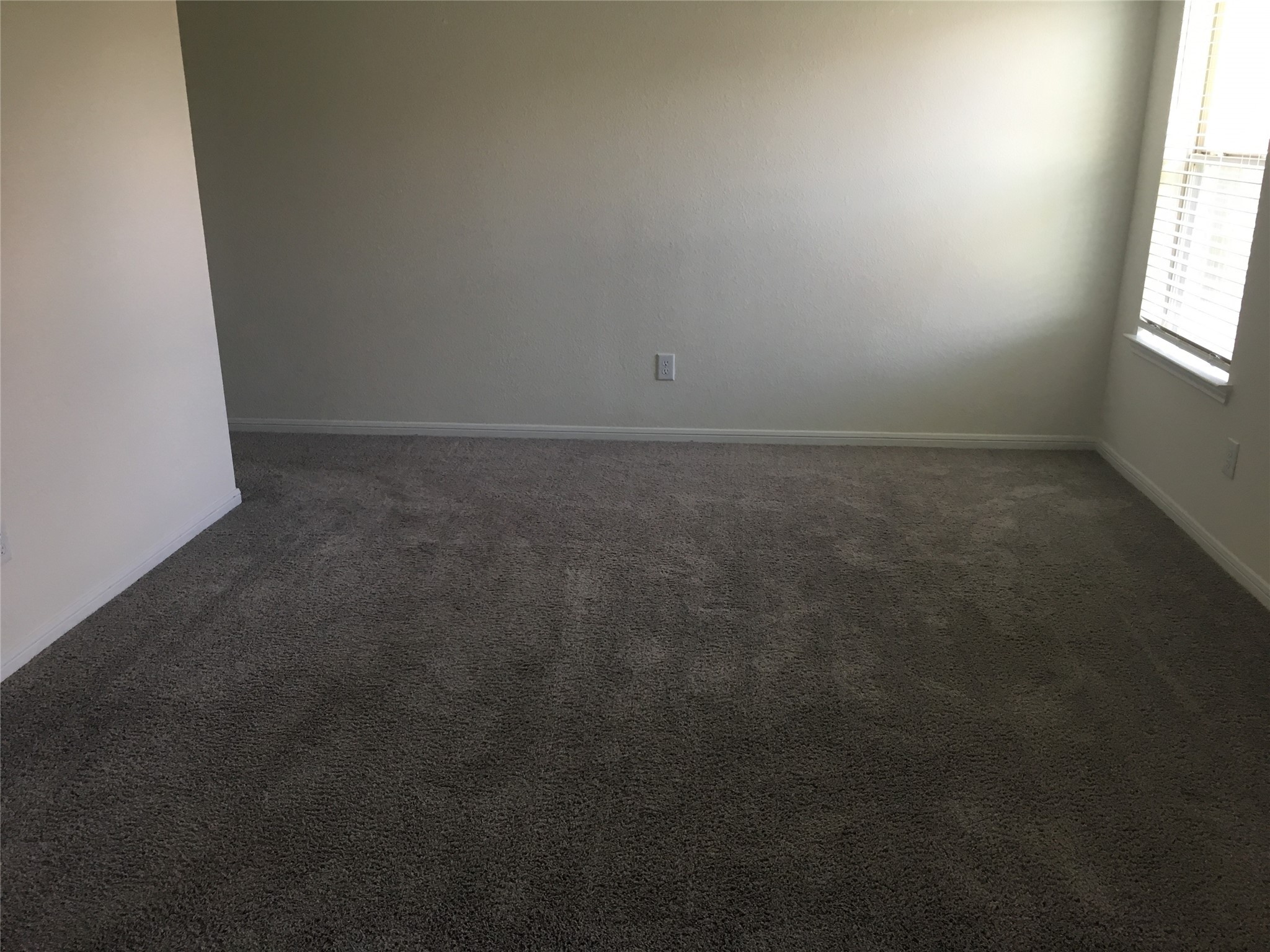 10429 Sherwin Pass Drive Property Photo 5