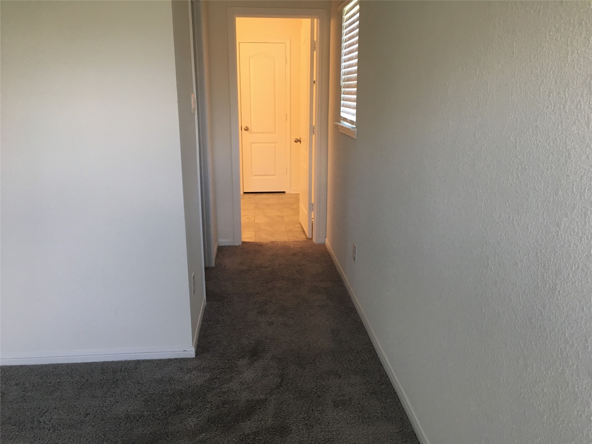 10429 Sherwin Pass Drive Property Photo 8