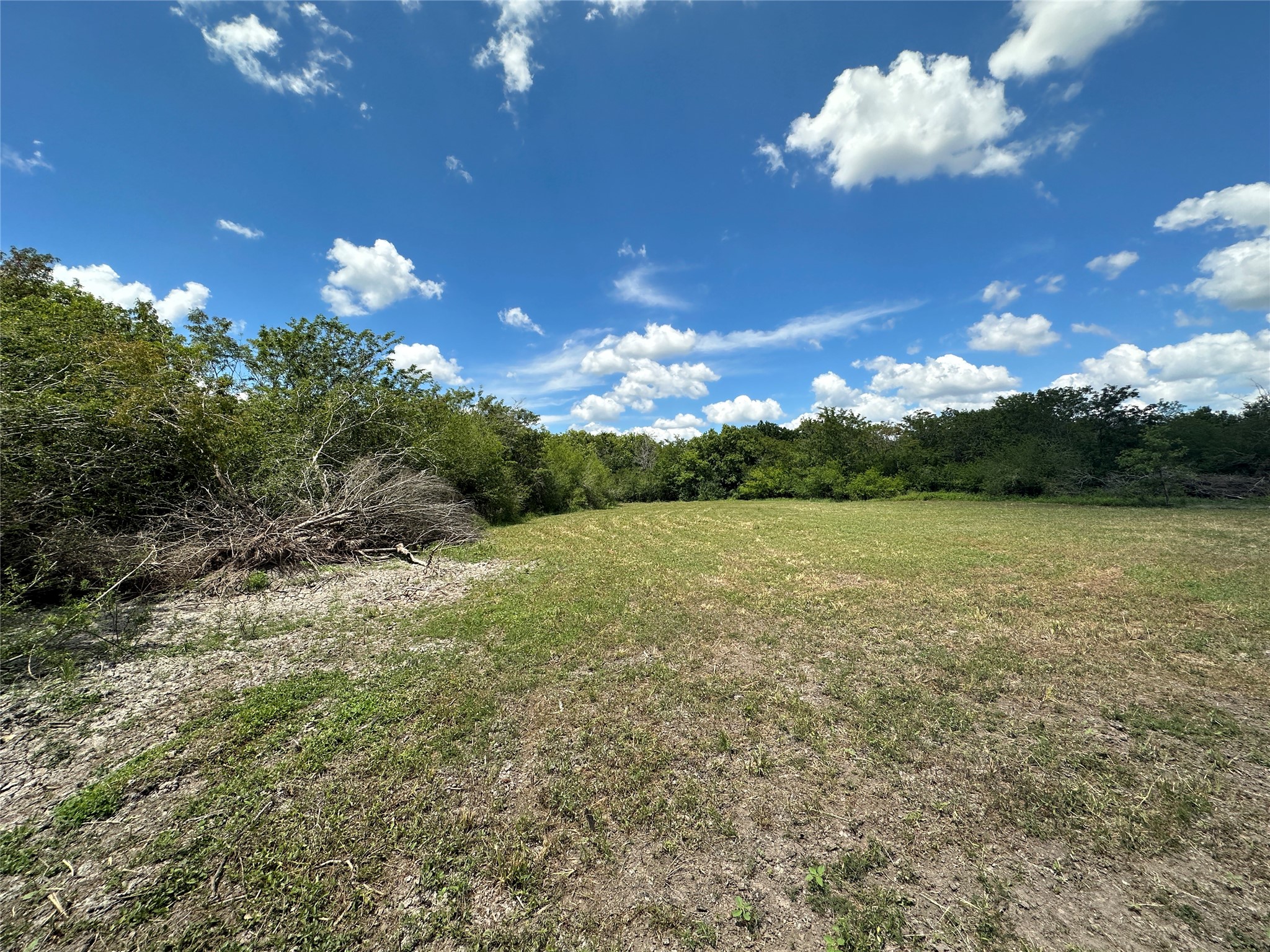 Tbd Navasota Ridge Road Property Photo 3