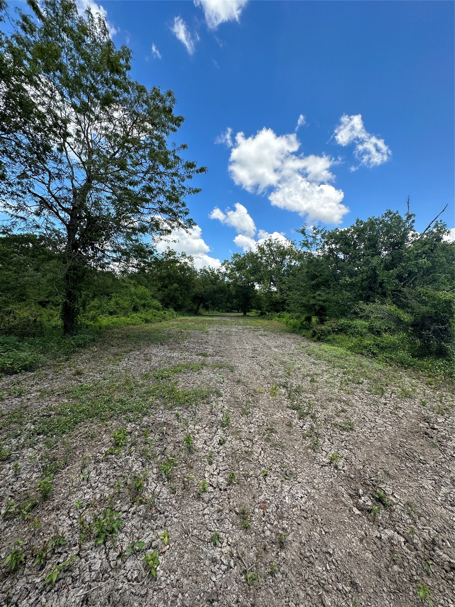 Tbd Navasota Ridge Road Property Photo 4