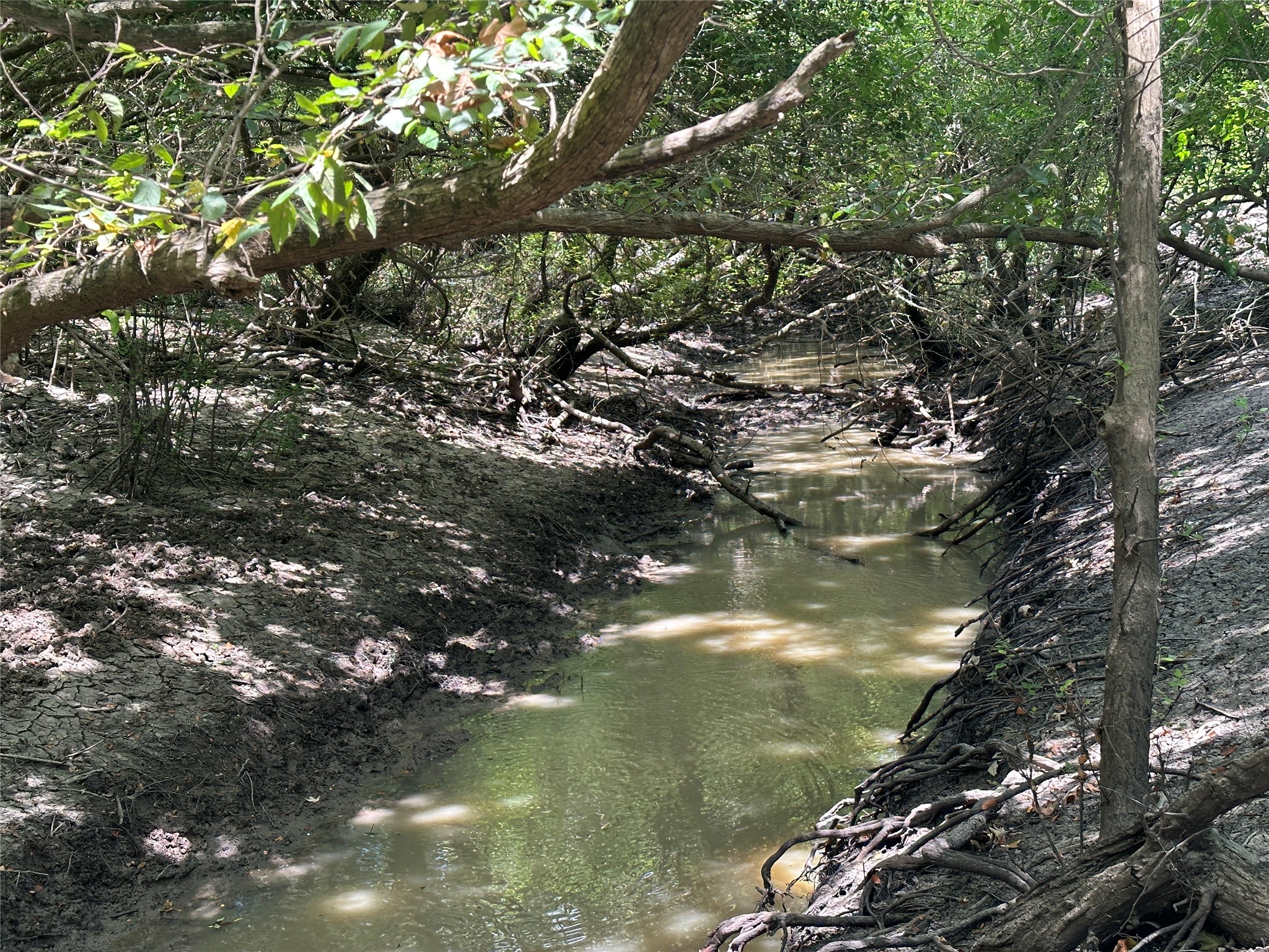 Tbd Navasota Ridge Road Property Photo 7