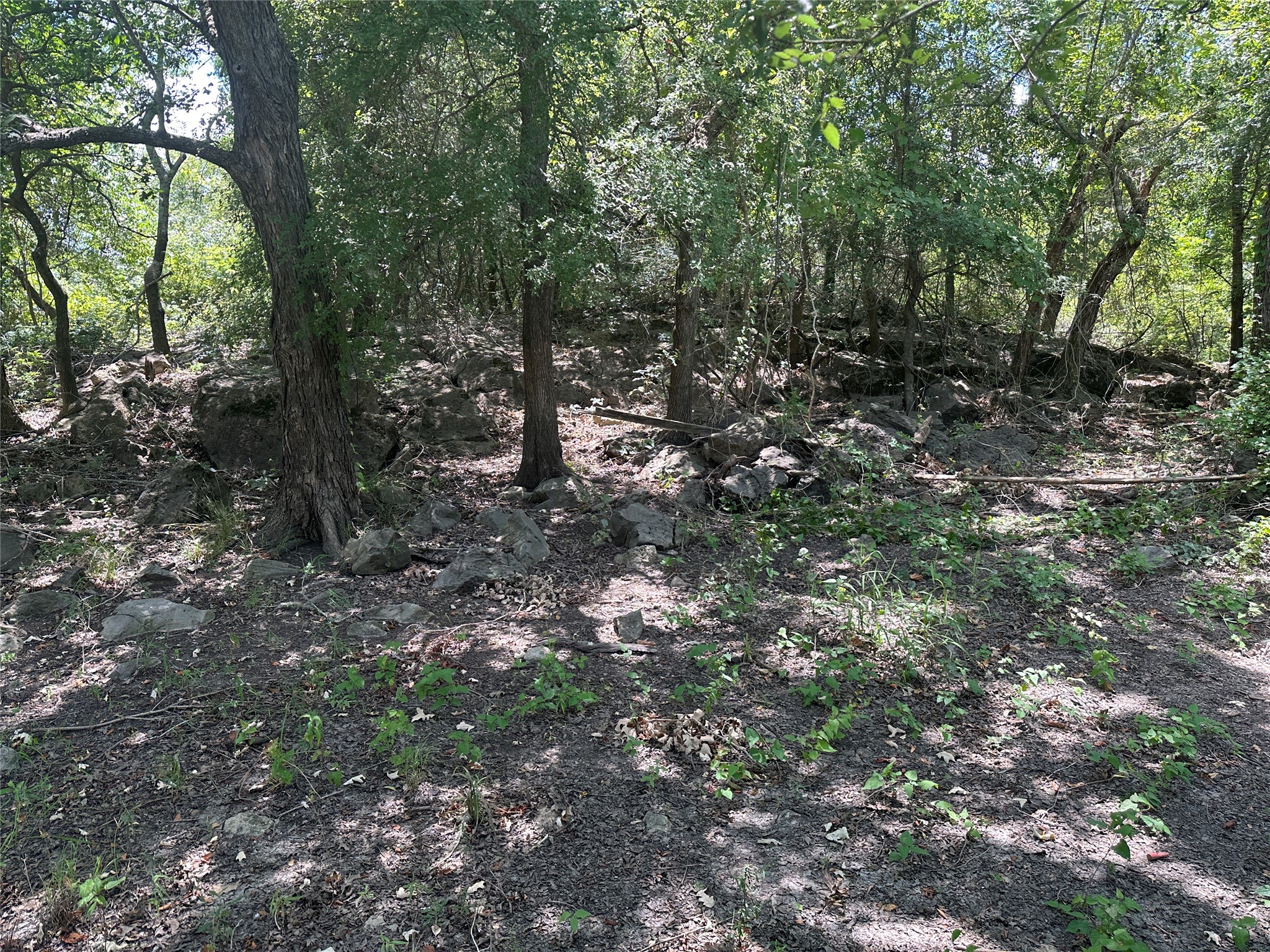 Tbd Navasota Ridge Road Property Photo 8