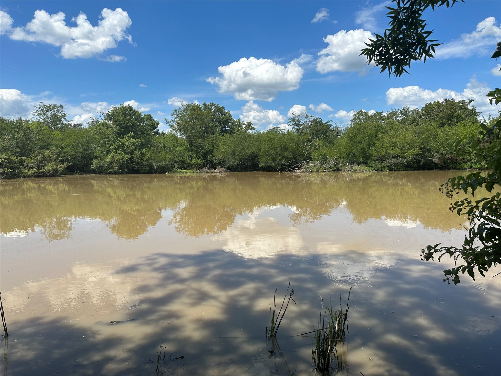 Tbd Navasota Ridge Road Property Photo 10