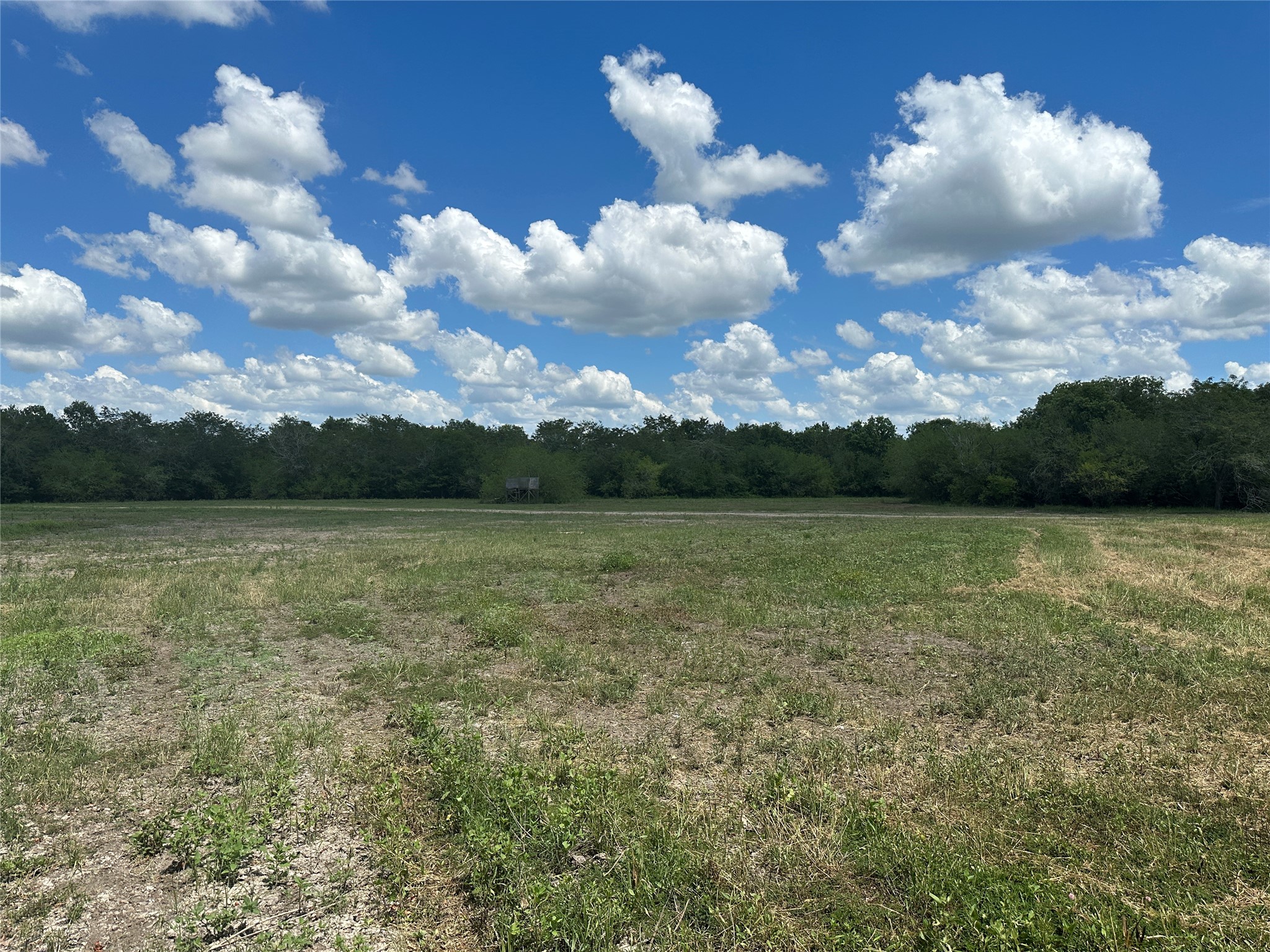 Tbd Navasota Ridge Road Property Photo 11