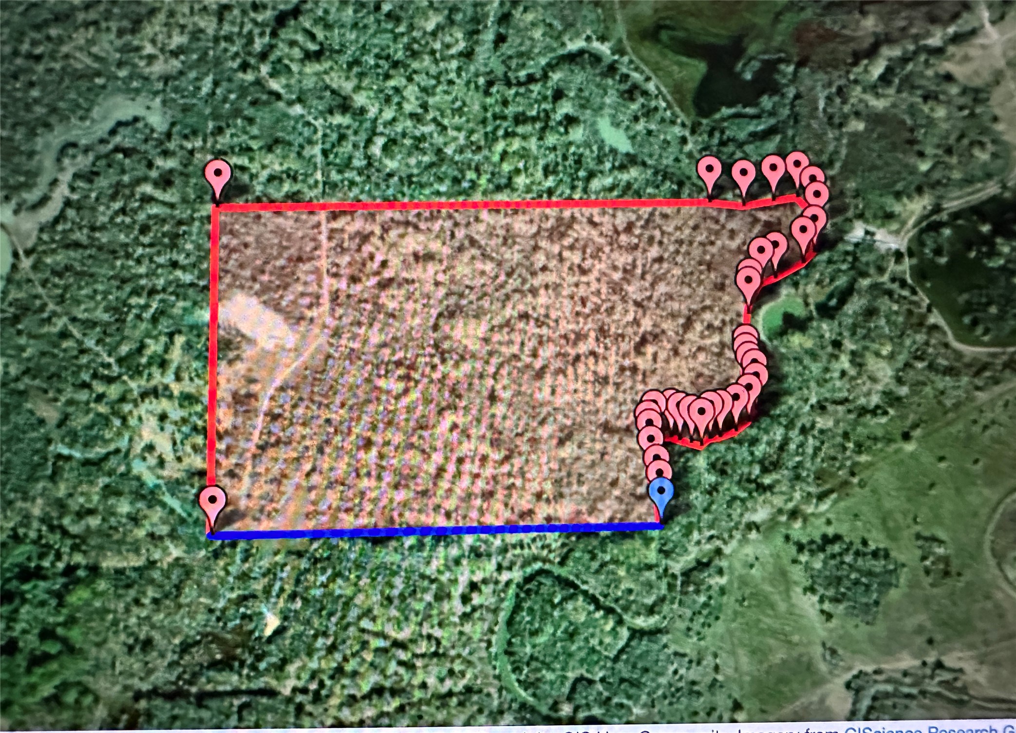 Tbd Navasota Ridge Road Property Photo 12