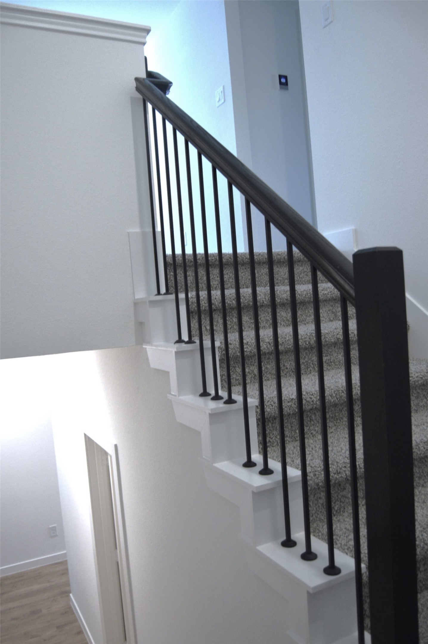 3543 Lovebird Lane Property Photo 5