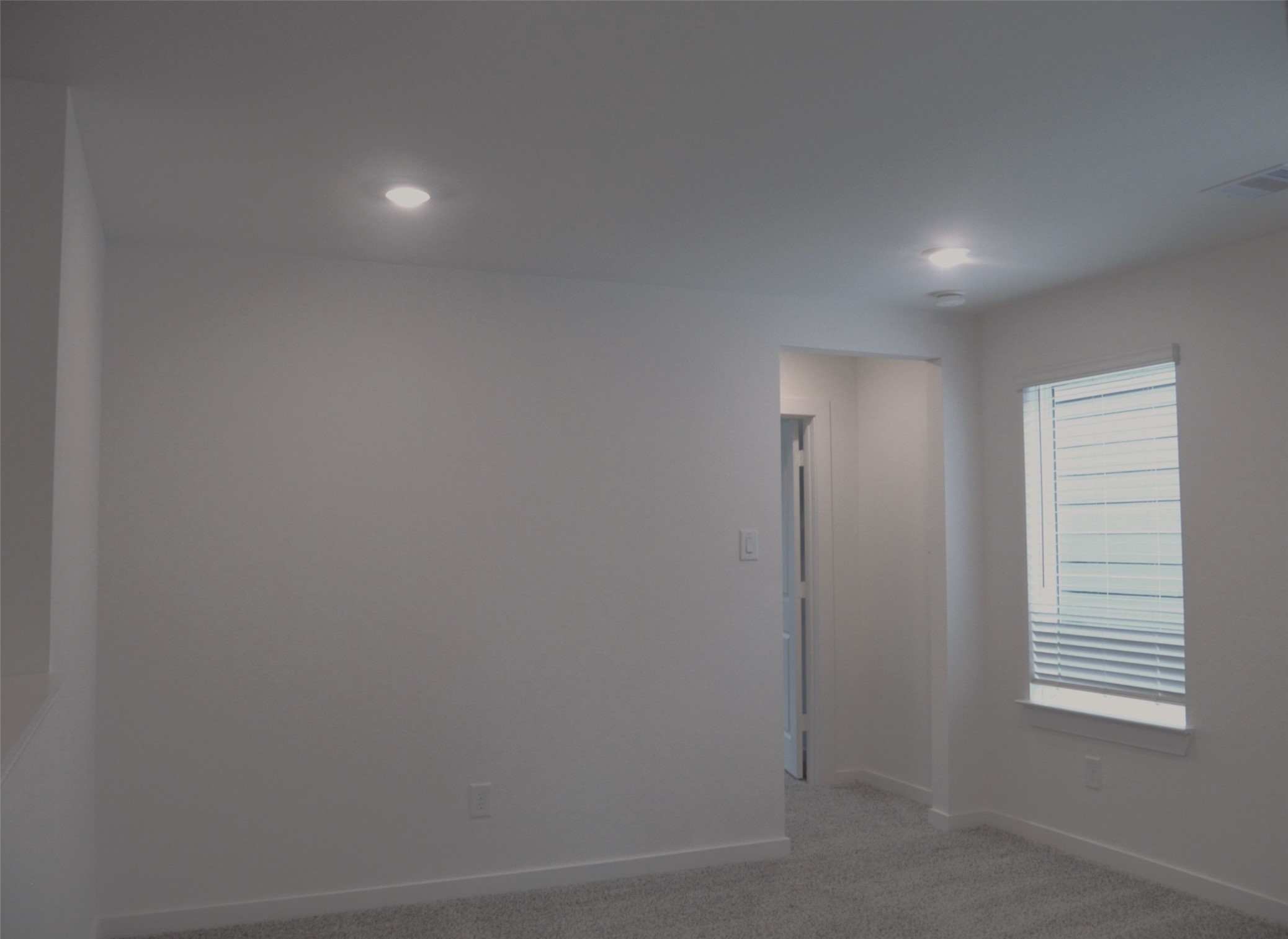 3543 Lovebird Lane Property Photo 6