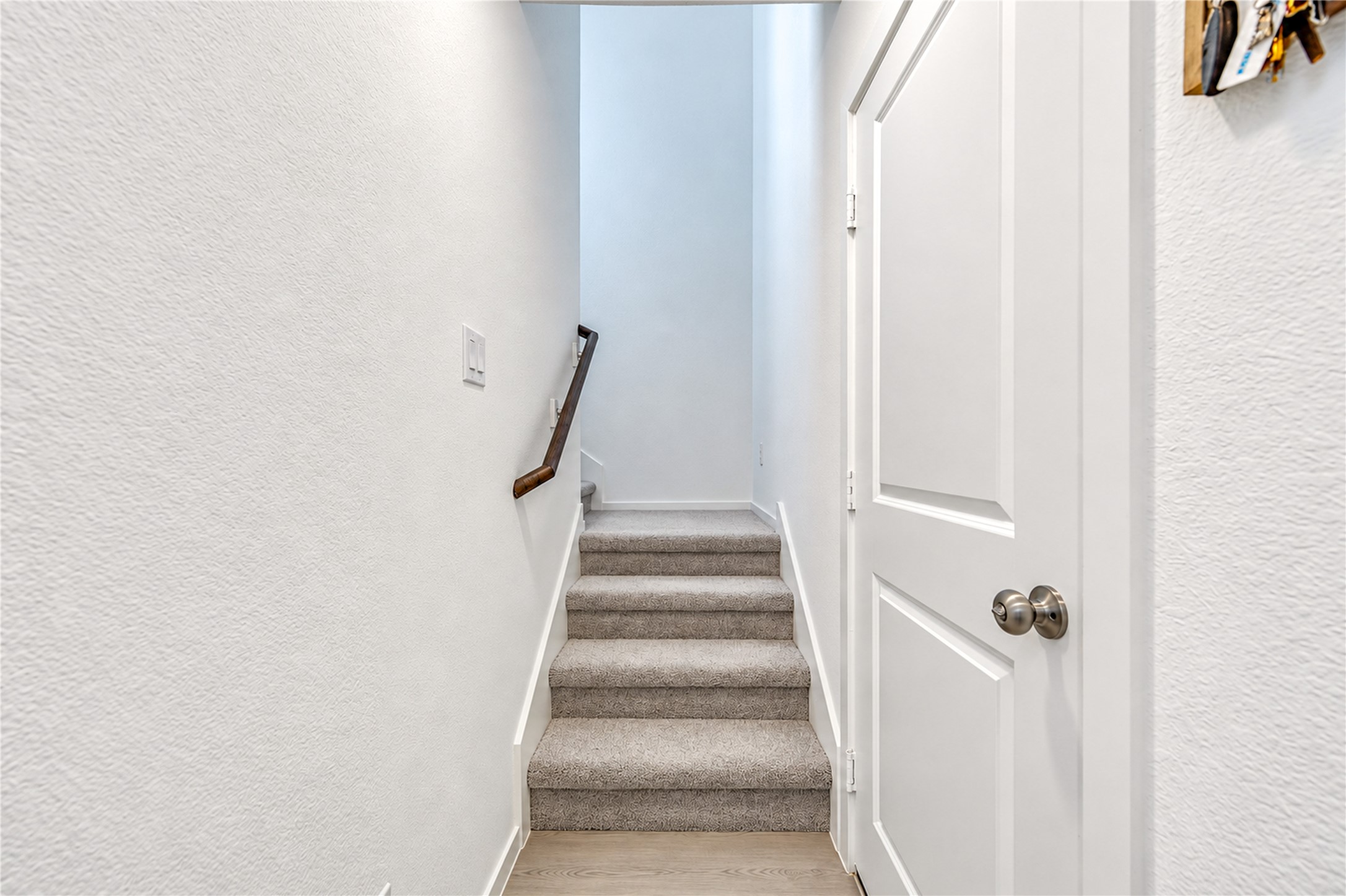910 Pertuso Ln Property Photo 18