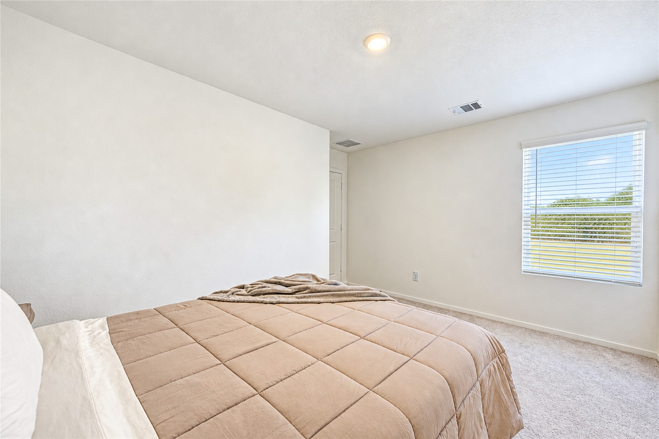 910 Pertuso Ln Property Photo 22
