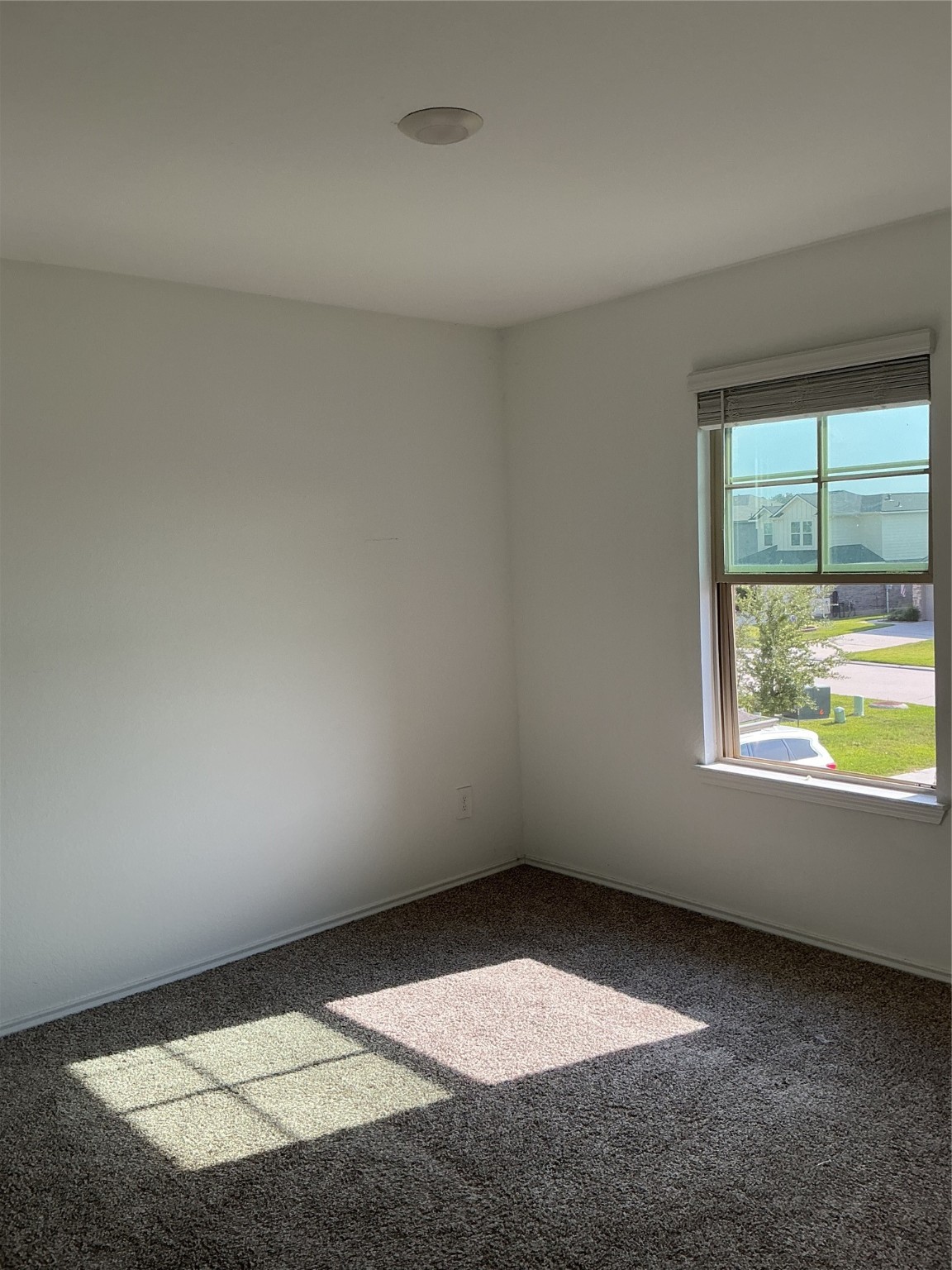 16957 Rich Pines Property Photo 17