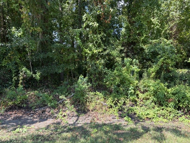 Tbd Beaver Den Drive Property Photo 1