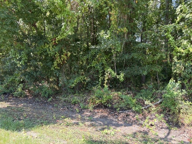 Tbd Beaver Den Drive Property Photo 2